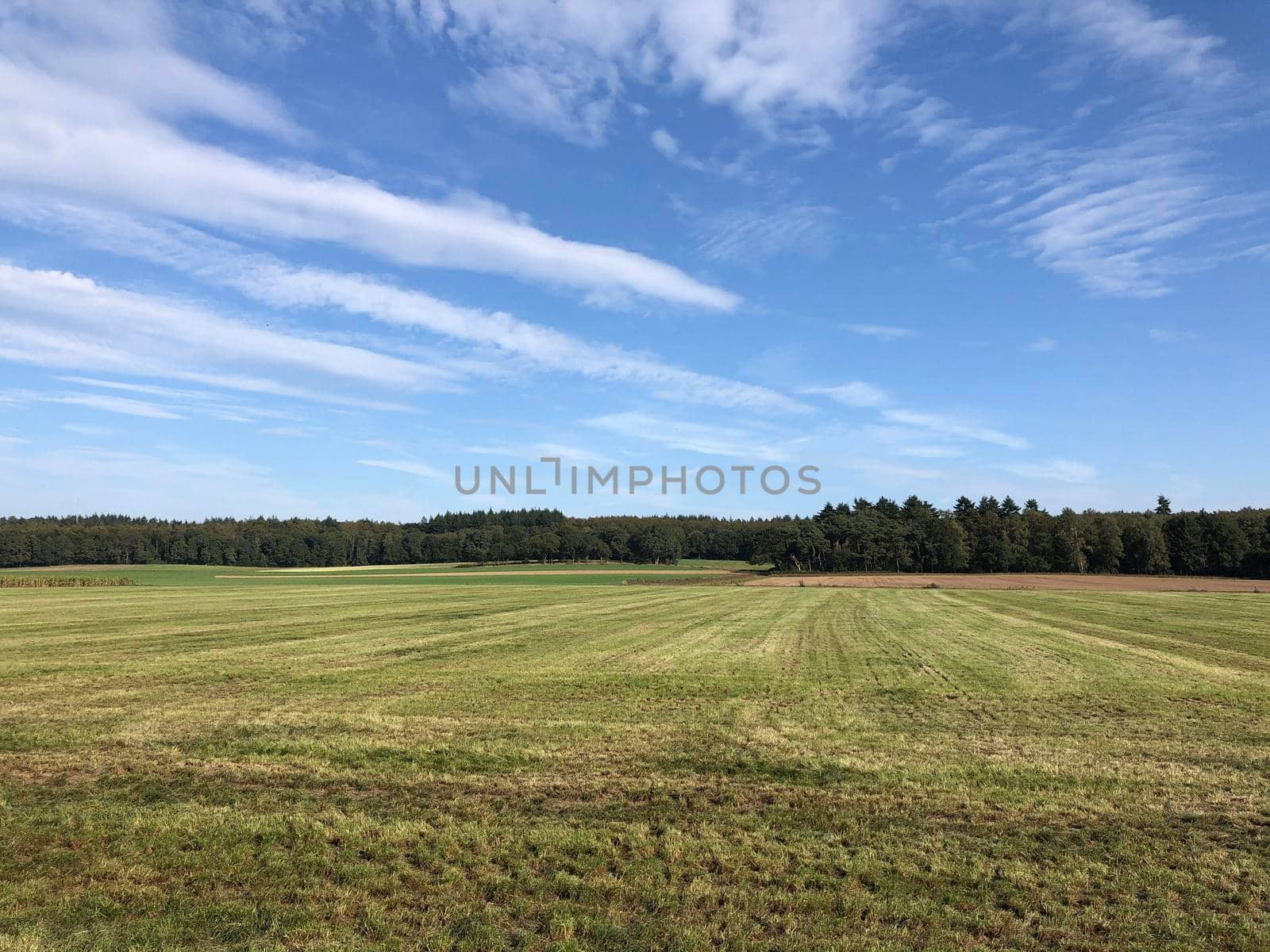 Hilly landscape around Beek Gem Montferland in Gelderland, The Netherlands