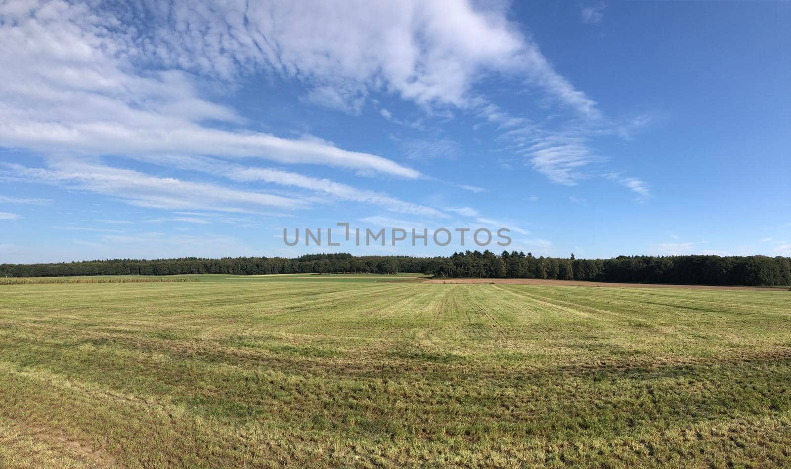 Hilly landscape around Beek Gem Montferland in Gelderland, The Netherlands