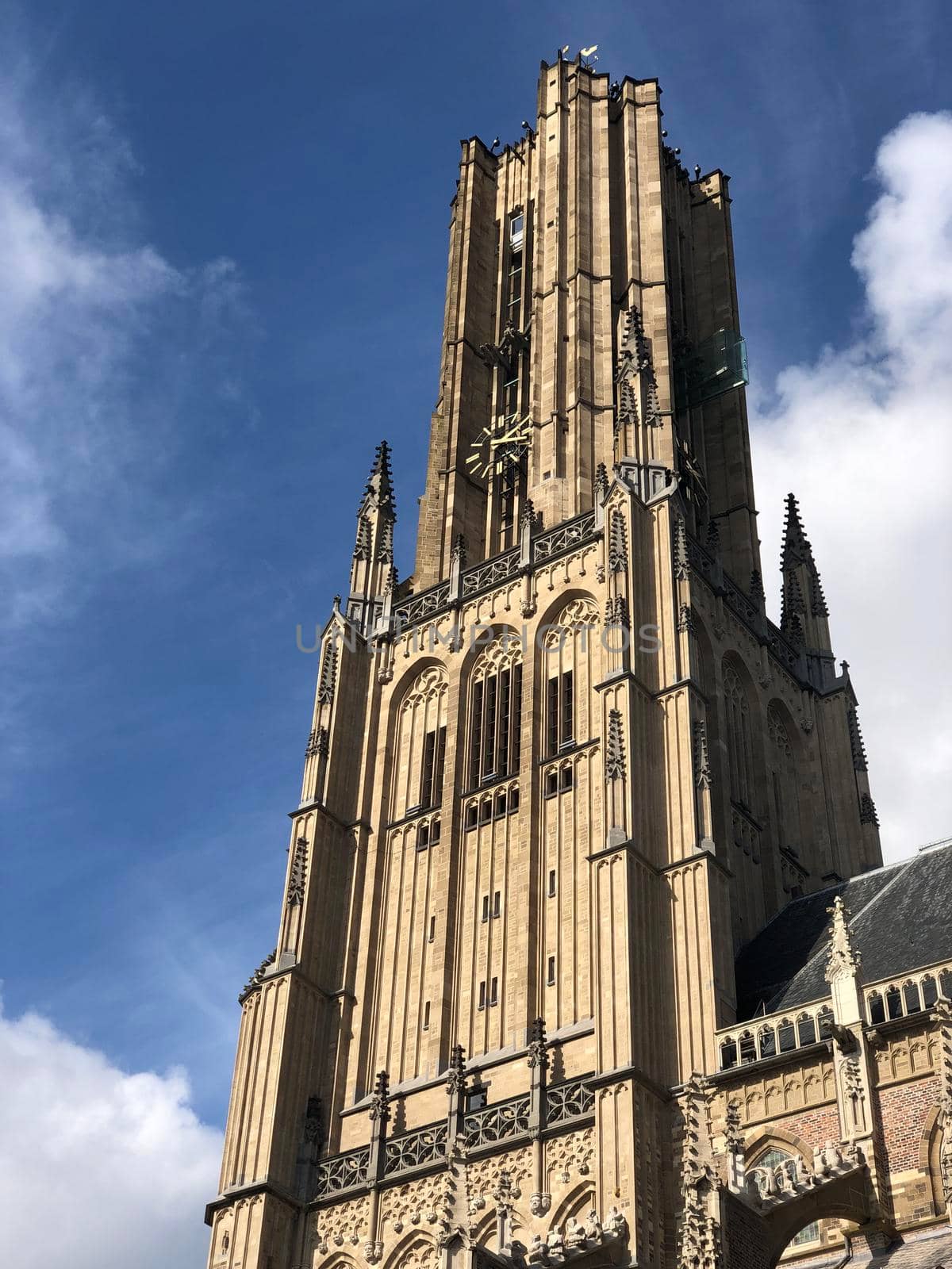 St Eusebius' Church in Arnhem, The Netherlands