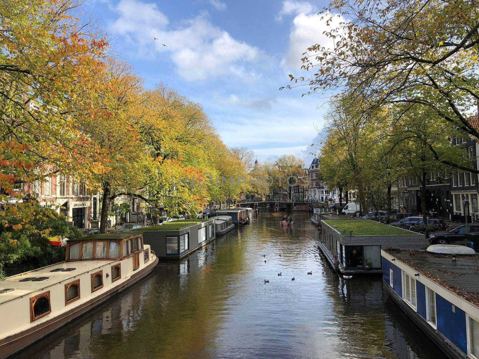 Canal in Amsterdam by traveltelly