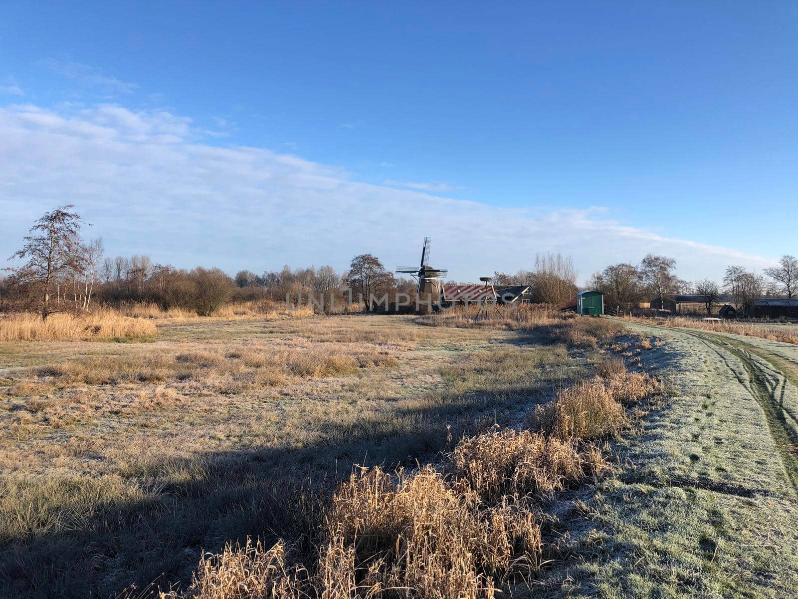 Winter landscape around Wolvega in The Netherlands