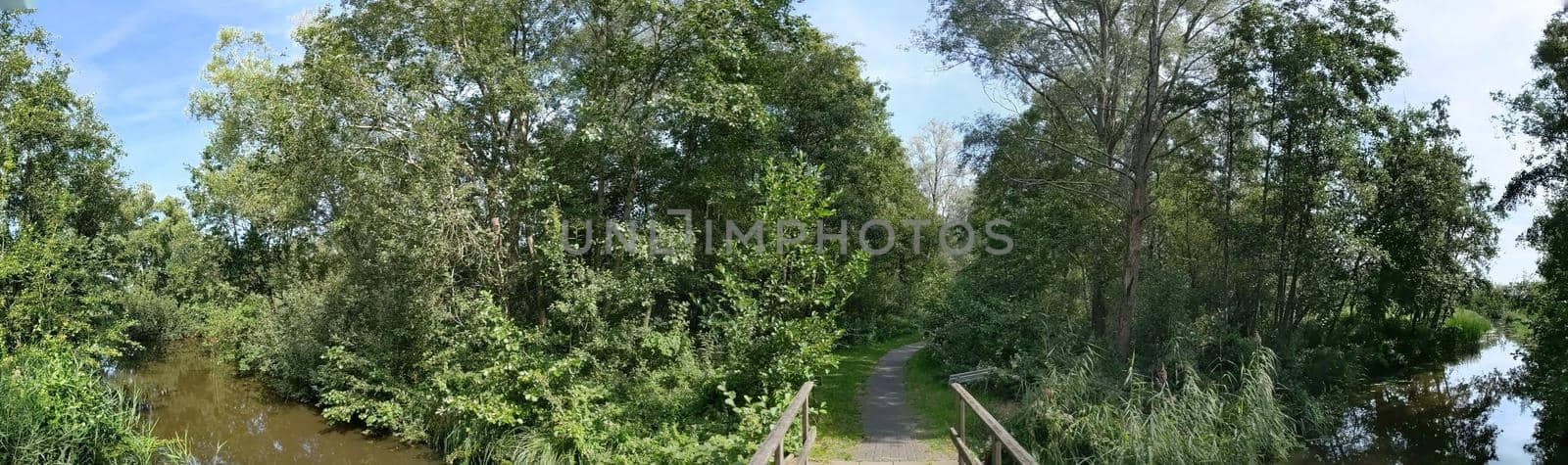 Path through the forest around Kalenberg, Overijssel, The Netherlands