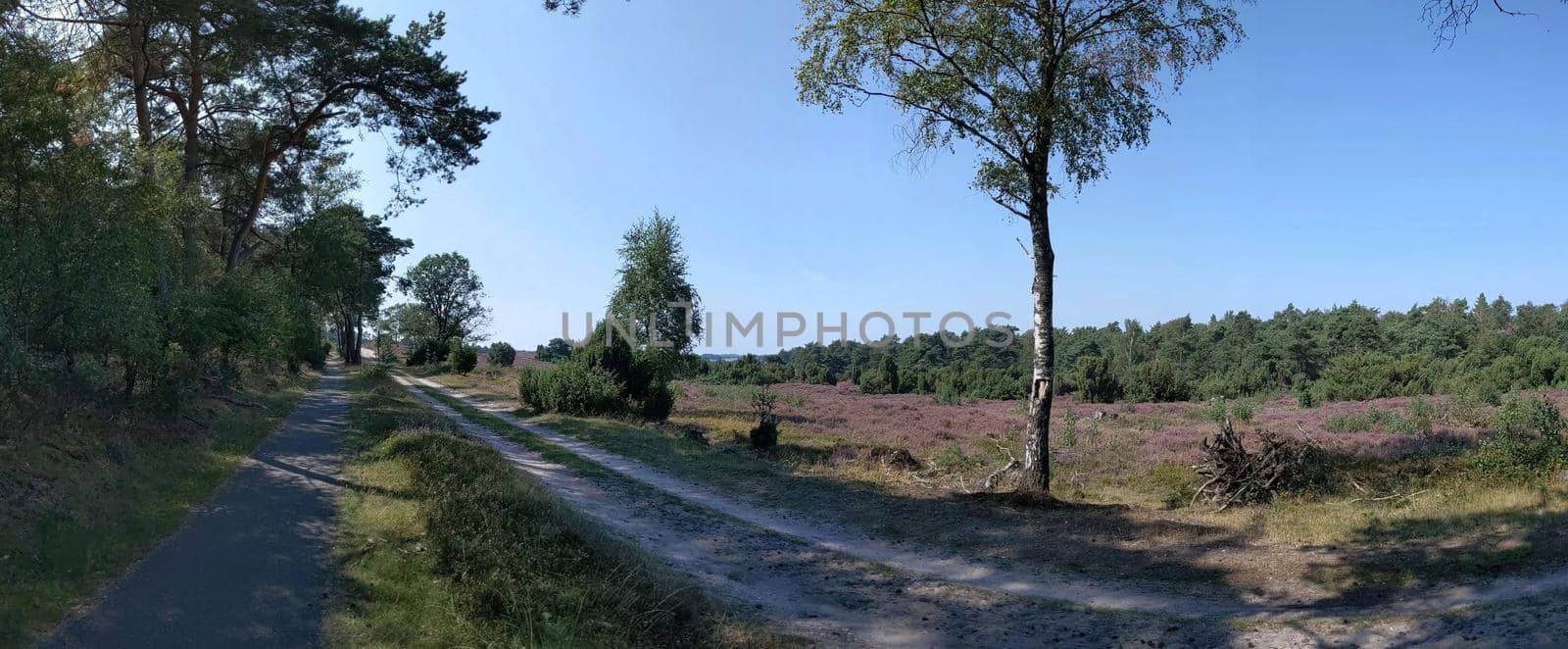 Nature reserve panorama around Giethmen, Overijssel The Netherlands