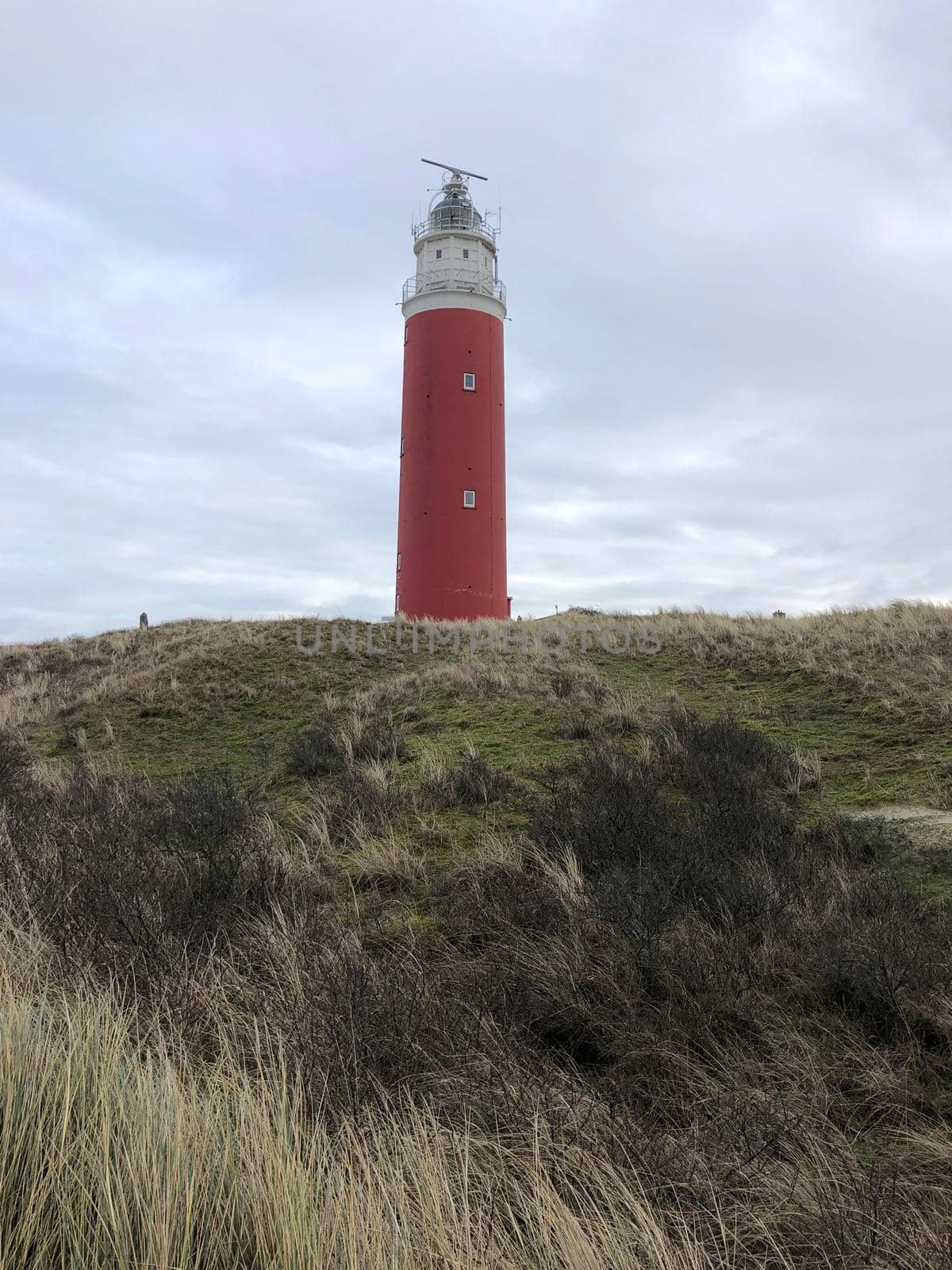 The lighthouse on Texel island in The Netherlands