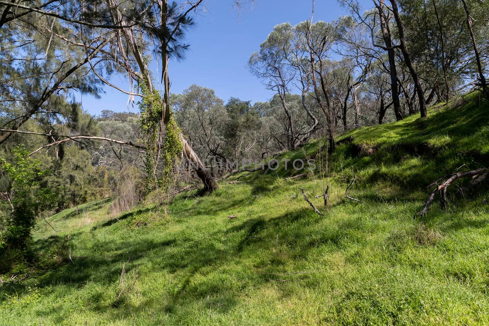 A state park conservation area which is used for tourism and recreation.