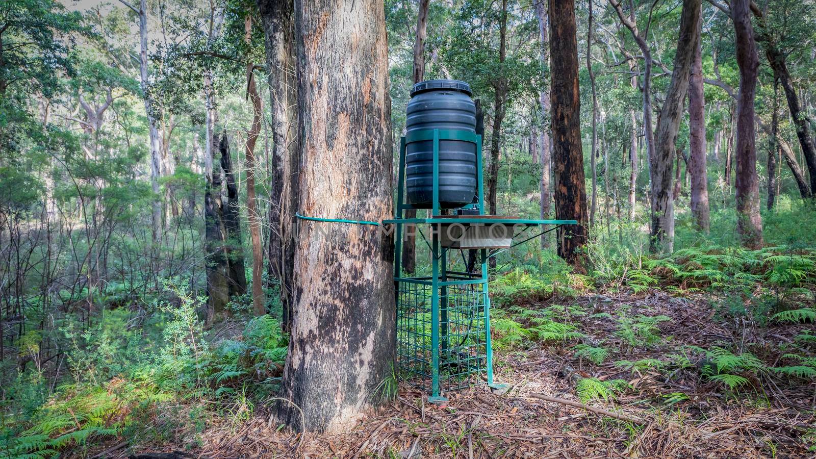 A wildlife watering system in the Australian National Parks program by WittkePhotos