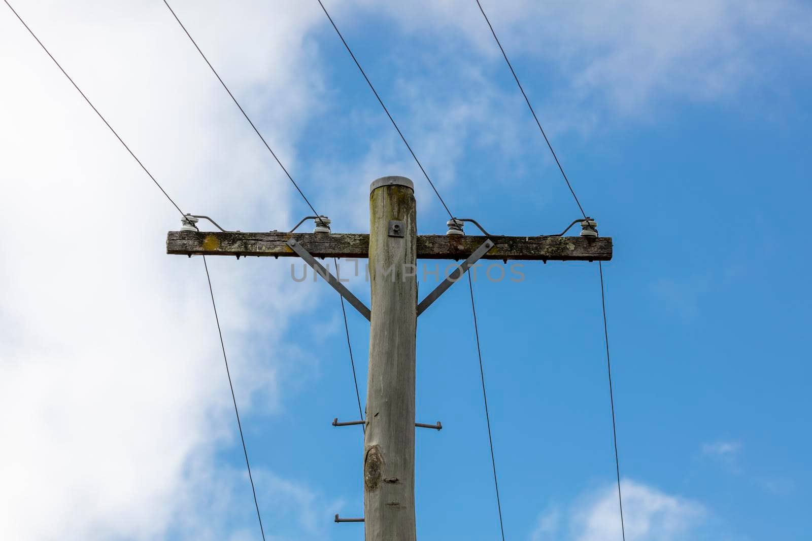 A wooden telephone pole with wires and terminal connectors by WittkePhotos