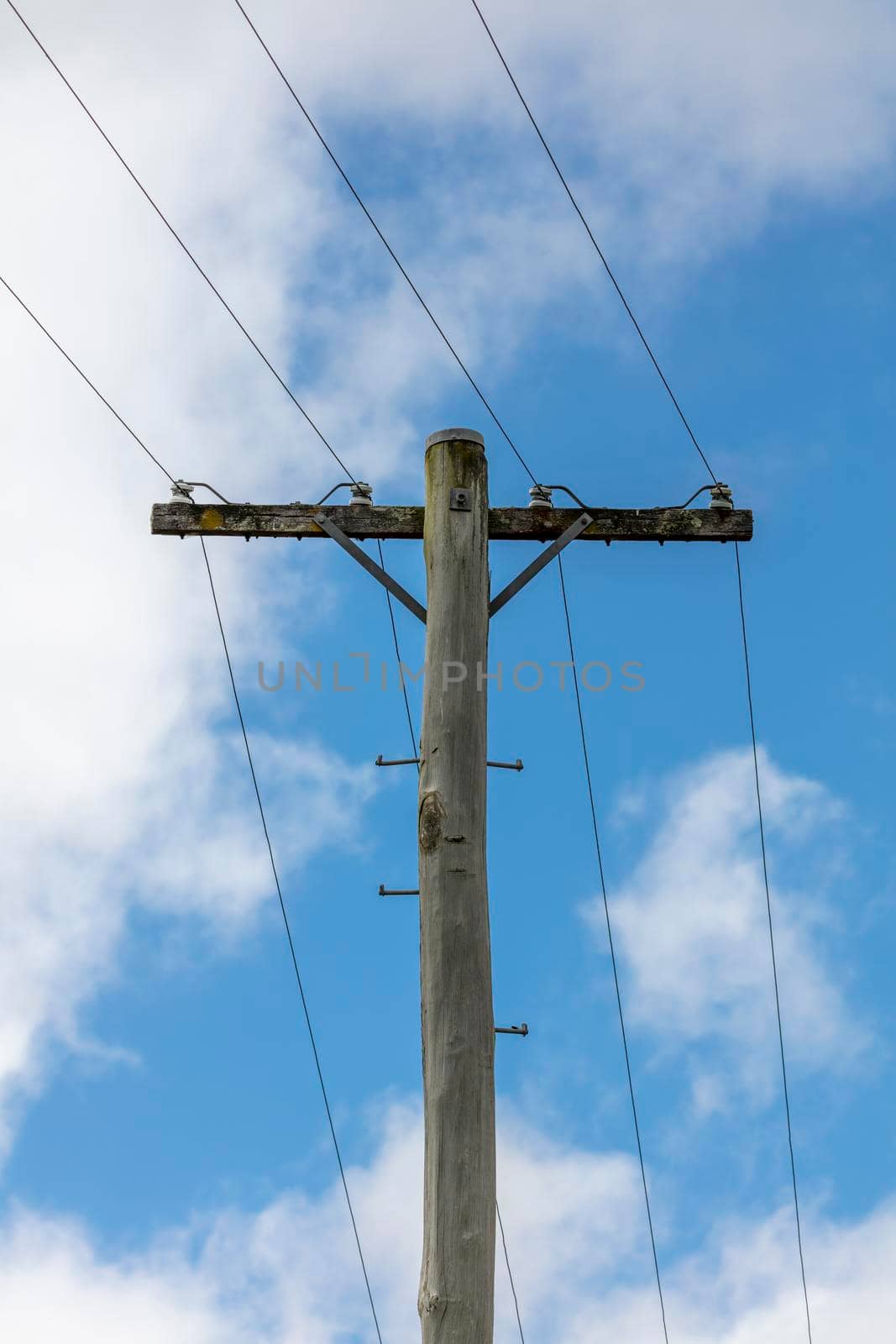 A wooden telephone pole with wires and terminal connectors by WittkePhotos