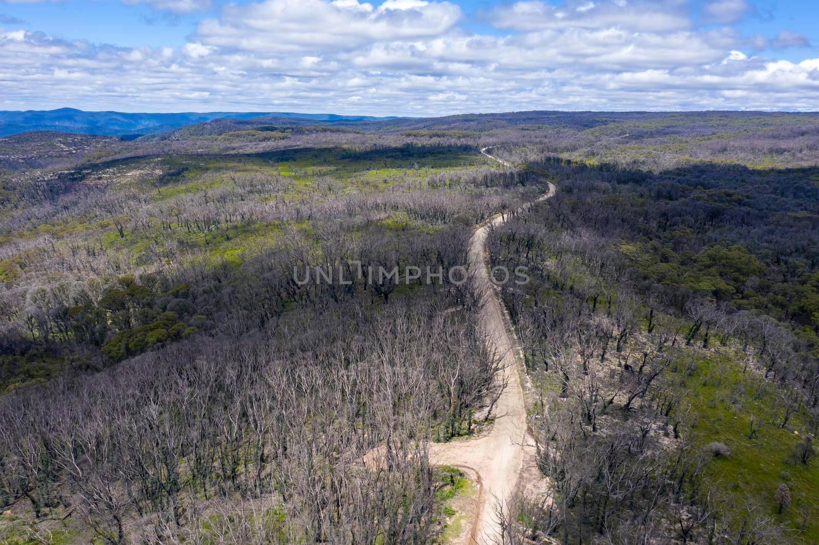 Aerial view of a dirt road in a forest regenerating from bushfire in Kanangra-Boyd National Park in the Central Tablelands in regional New South Wales Australia
