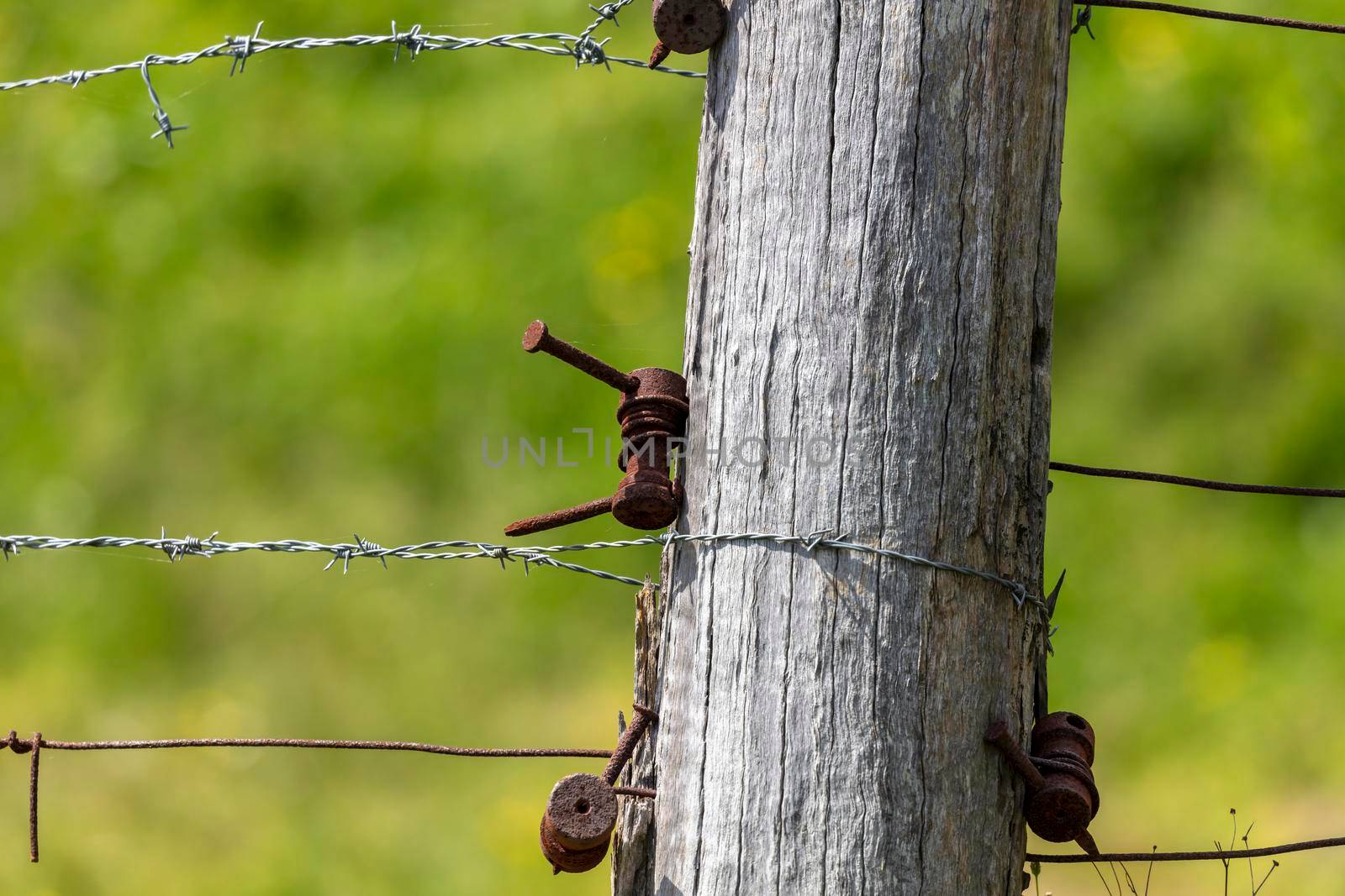 An agricultural fence post with barbed wire and tension brackets by WittkePhotos
