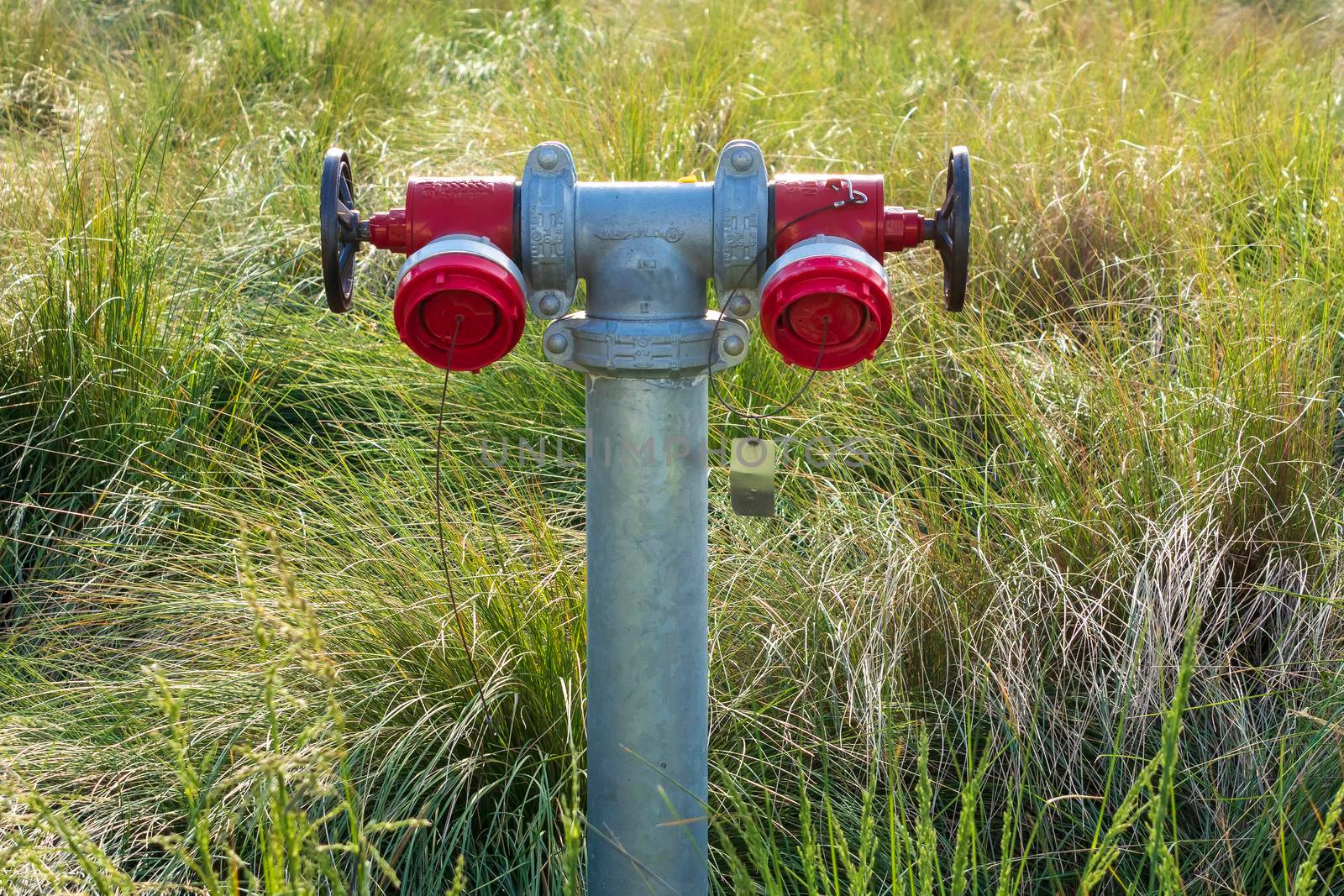 An industrial fire hydrant outdoors amongst grass and weeds in regional Australia