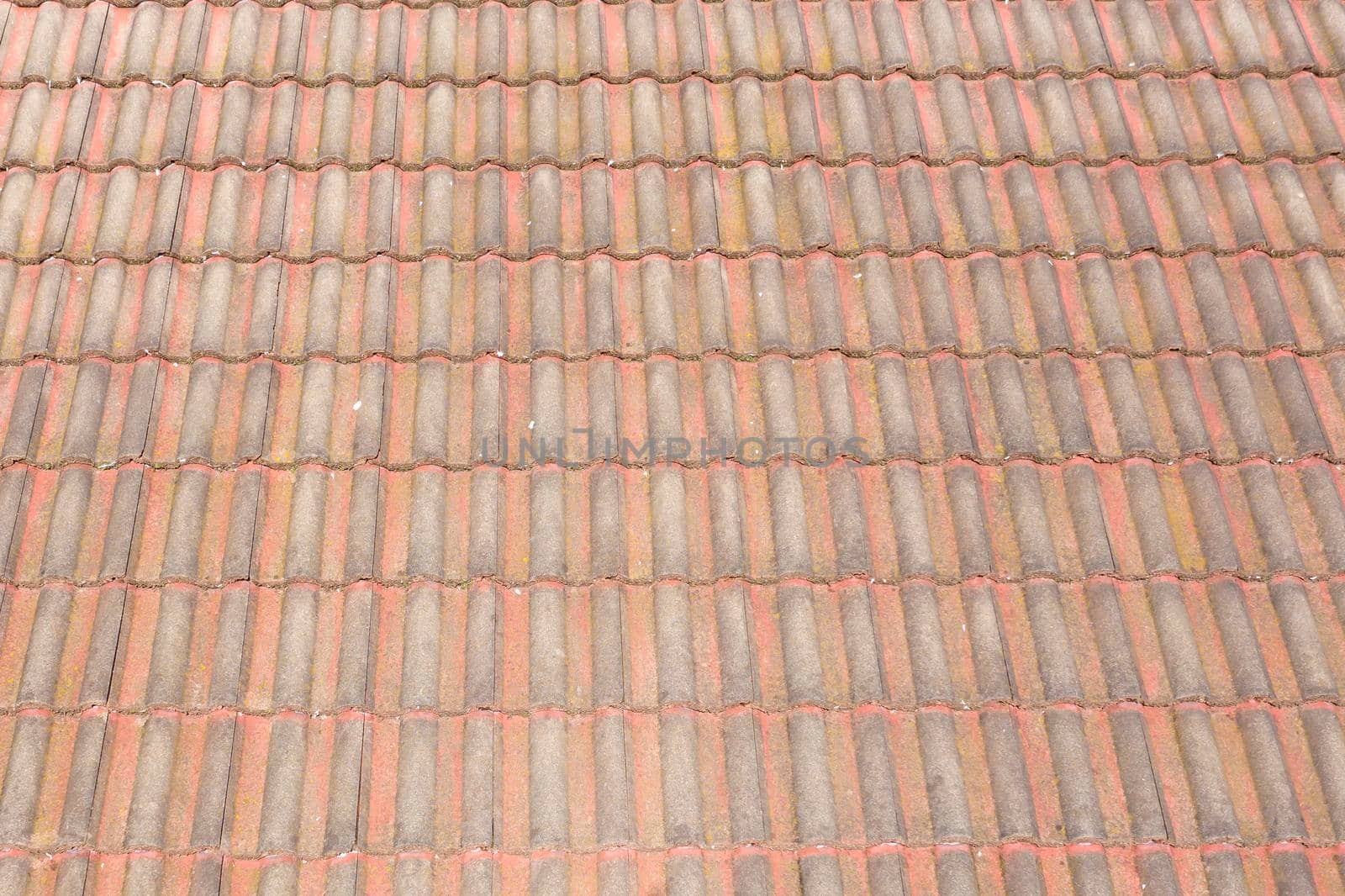 An old brown terracotta tiled roof on a house by WittkePhotos