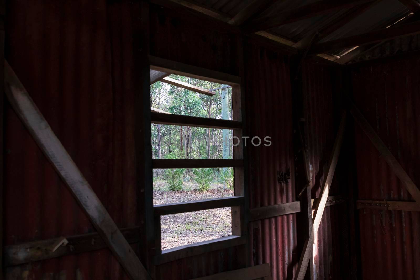 Inside an old building looking out the window at a forest by WittkePhotos