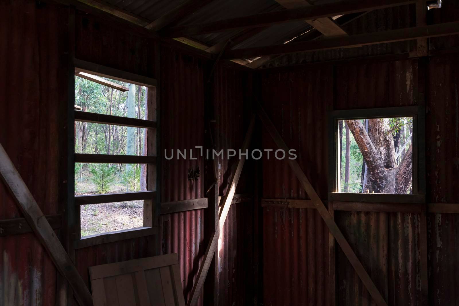 Inside an old building looking out the window at a forest