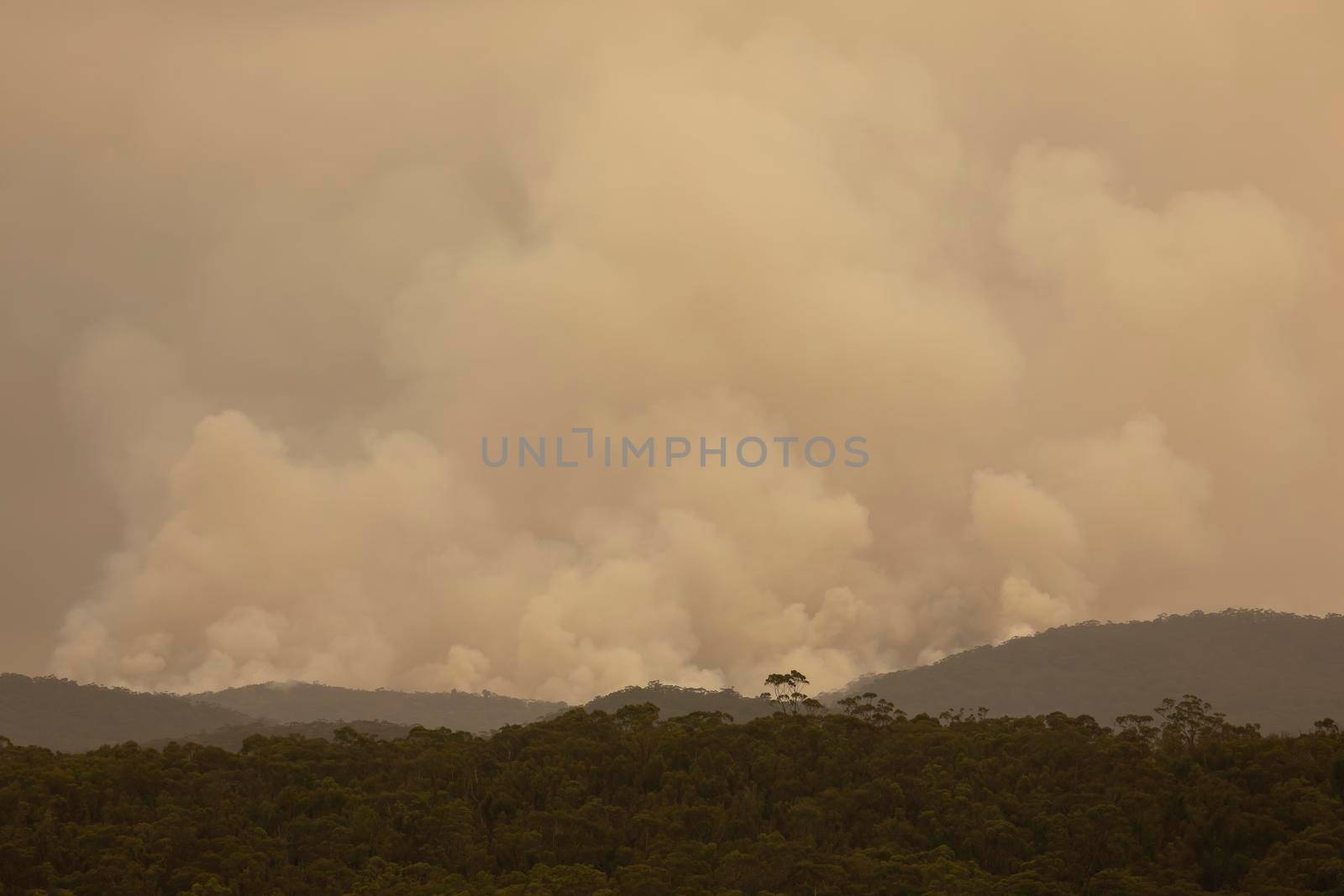 Smoke from a large bushfire in The Blue Mountains in Australia by WittkePhotos