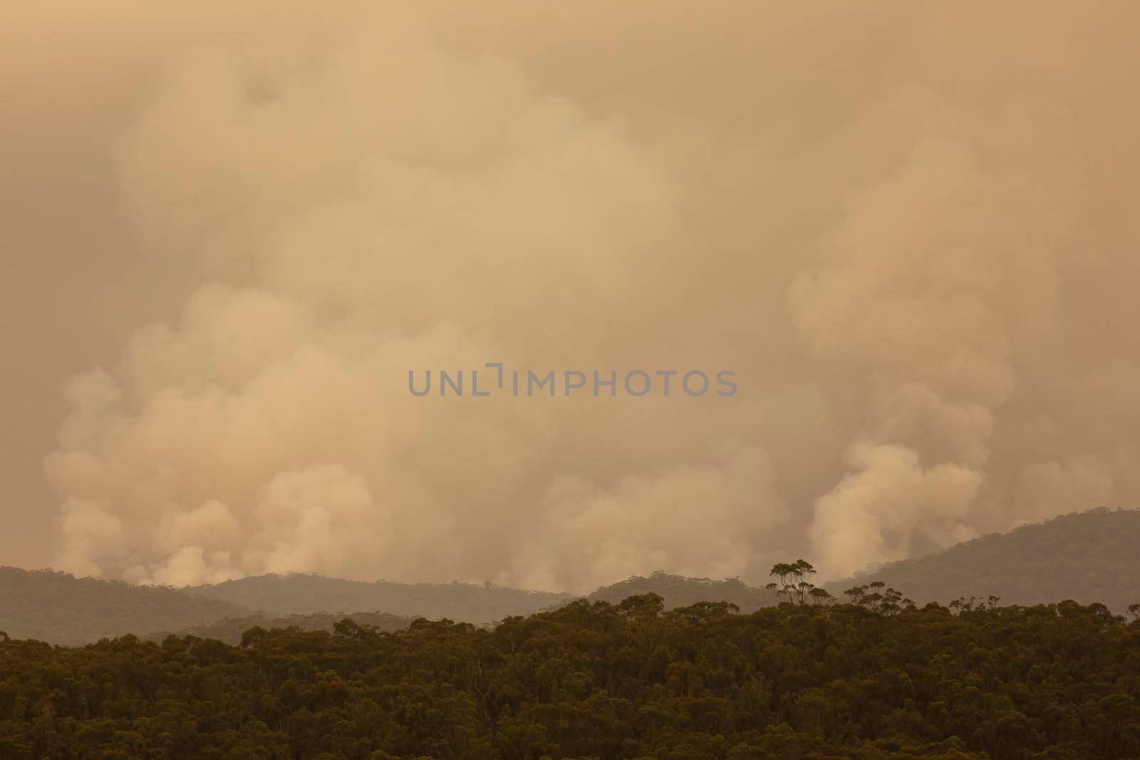 Smoke from a large bushfire in The Blue Mountains in Australia by WittkePhotos