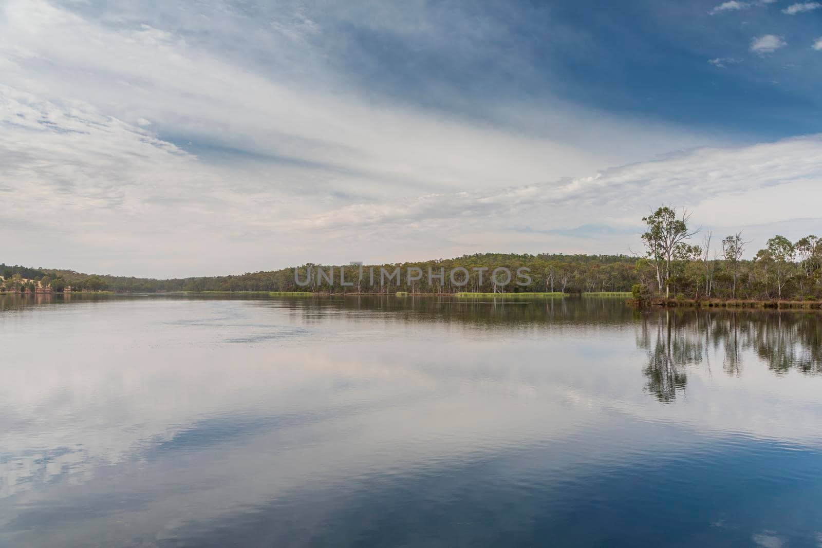 The Barossa Reservoir water supply with trees in the background and ducks in the foreground by WittkePhotos