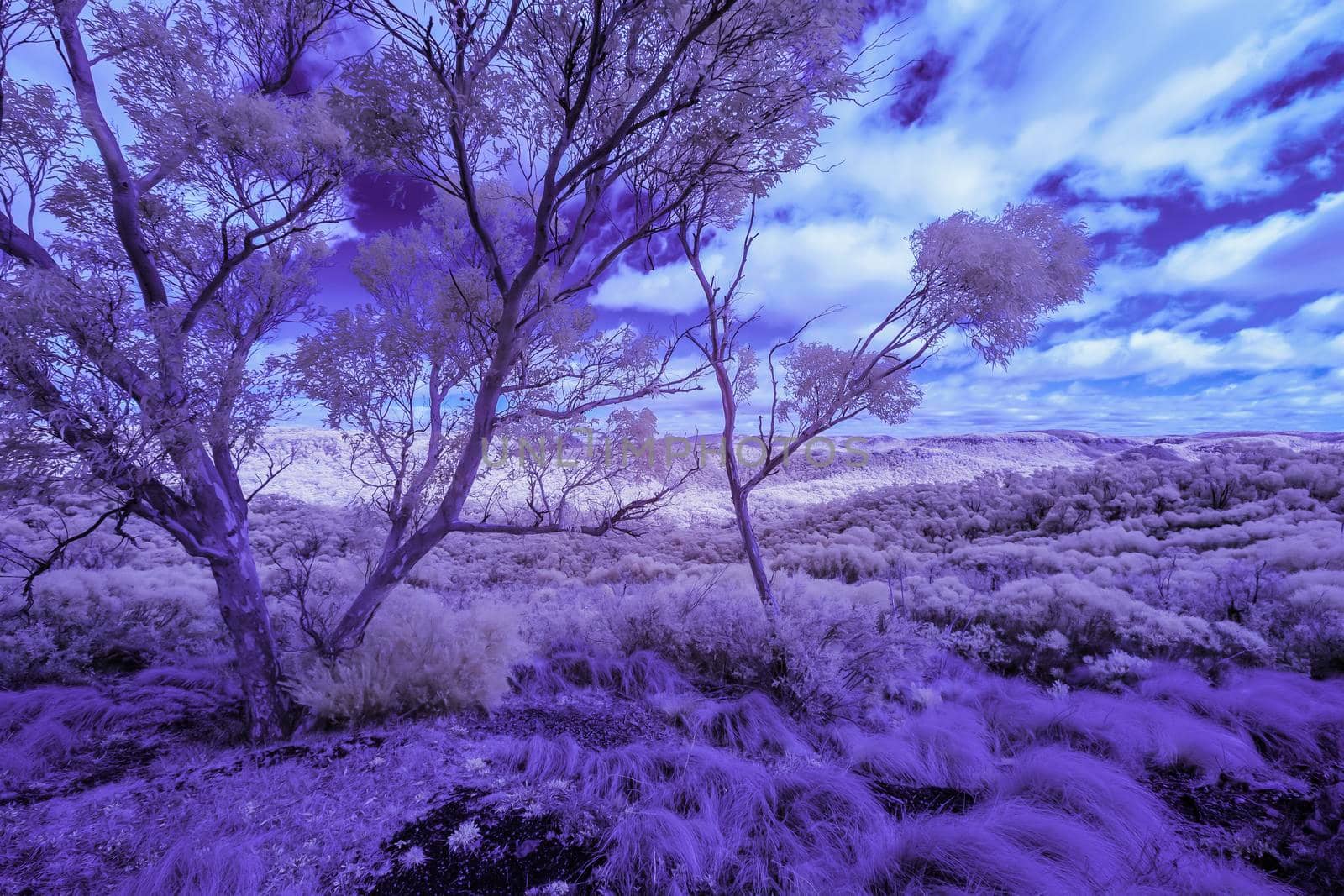 The Blue Mountain in infrared in New South Wales, Australia by WittkePhotos