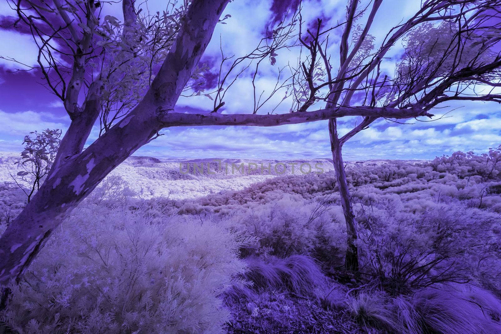 The Blue Mountain in infrared in New South Wales, Australia