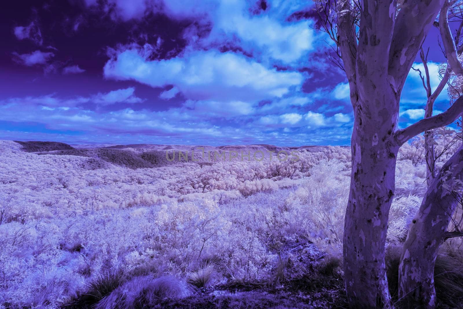 The Blue Mountain in infrared in New South Wales, Australia by WittkePhotos