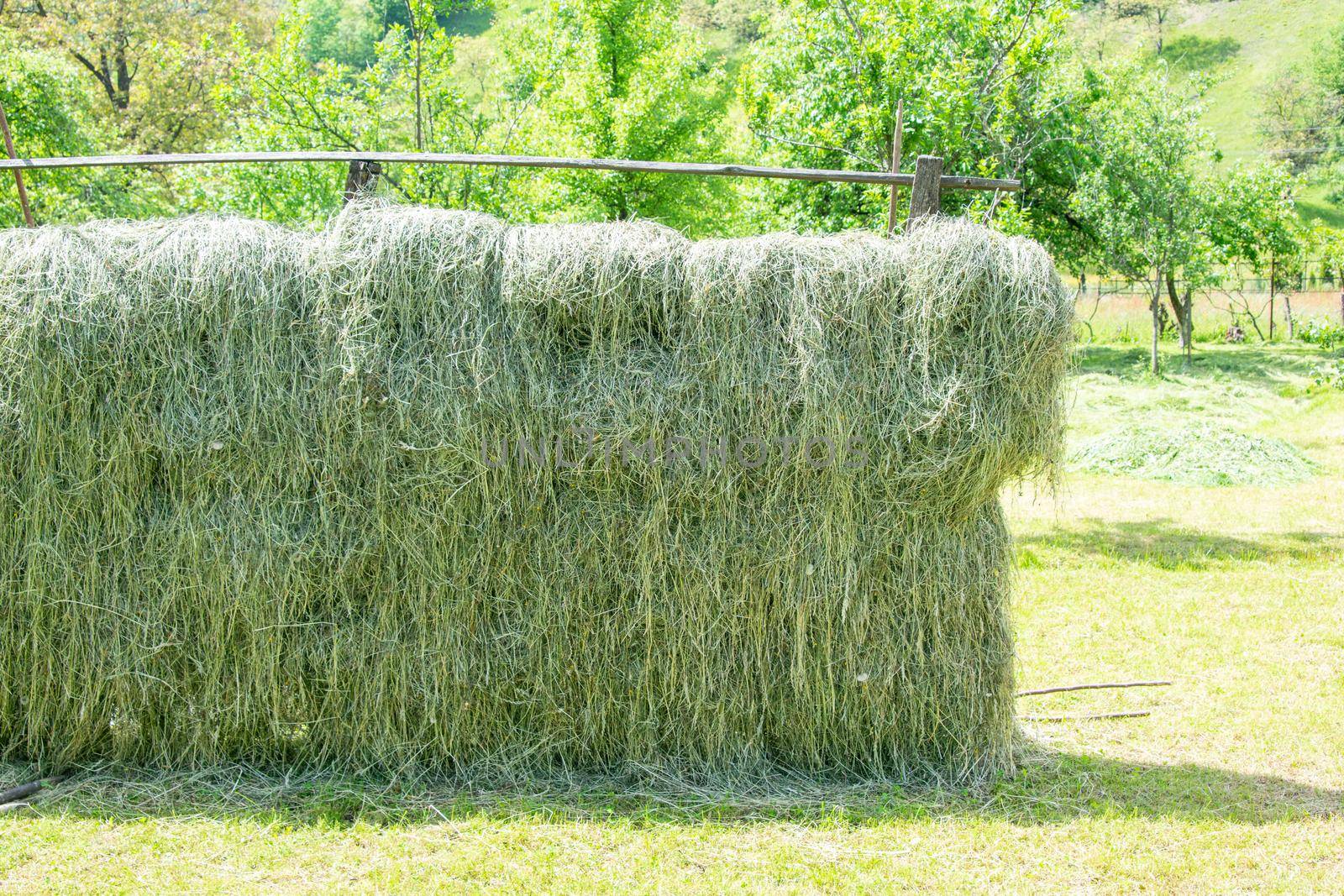 Haystack, a bale of hay group. Agriculture farm and farming symbol of harvest time with dry grass (hay), hay pile as a mountain of dried grass hay straw by uspmen