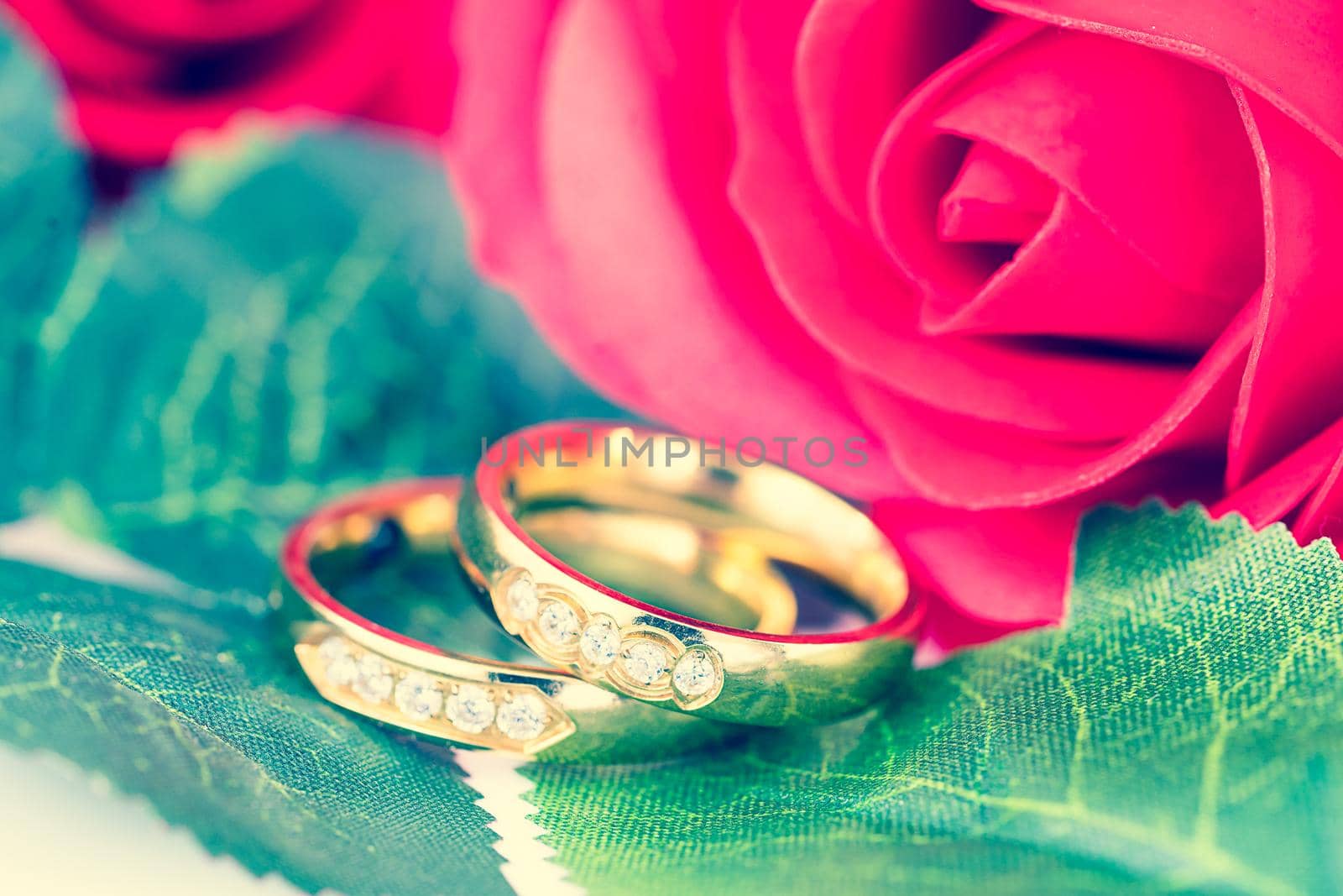 Close up Gold ring and Red roses  by stoonn