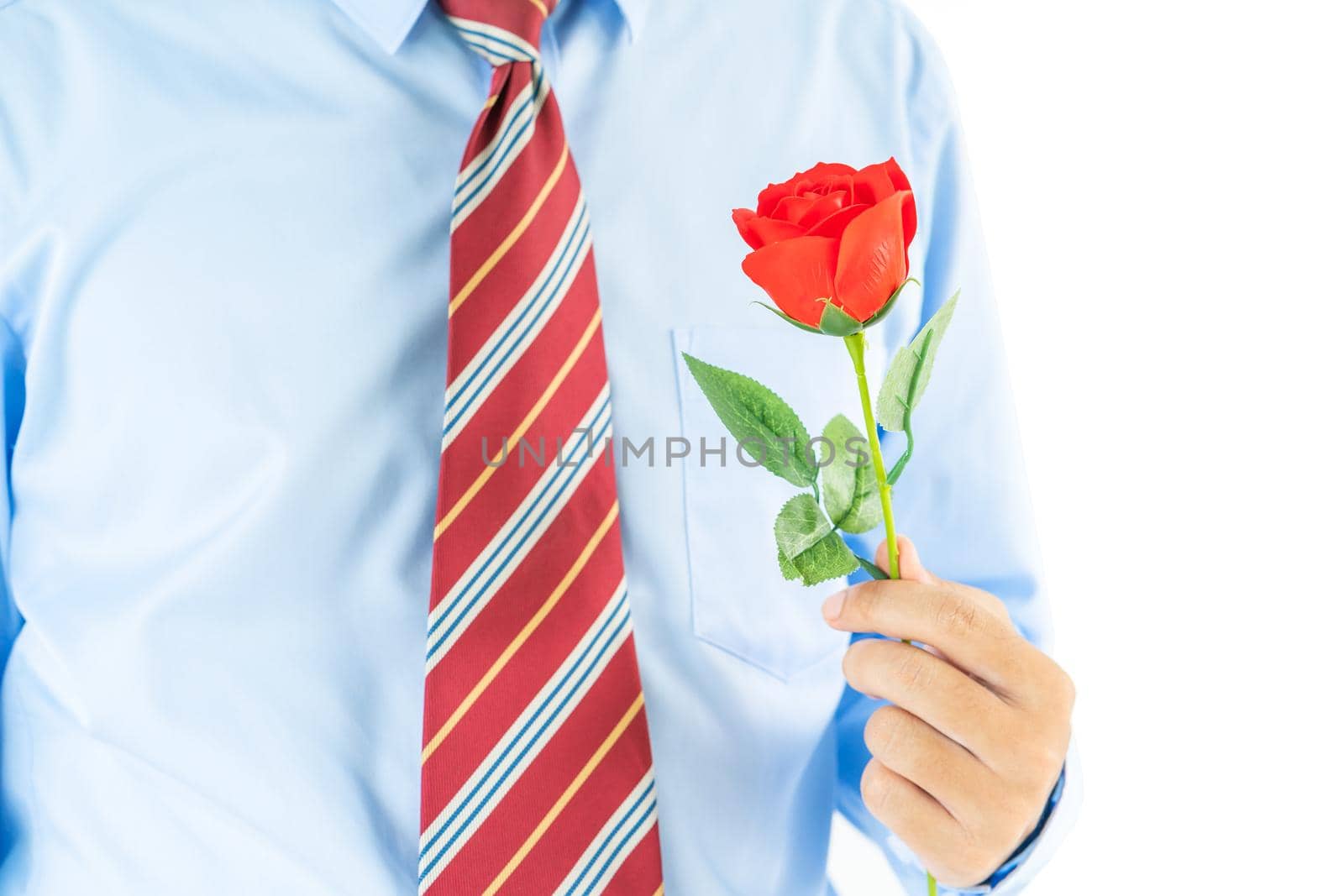 Close up photo of Man holding red roses in hand on white background