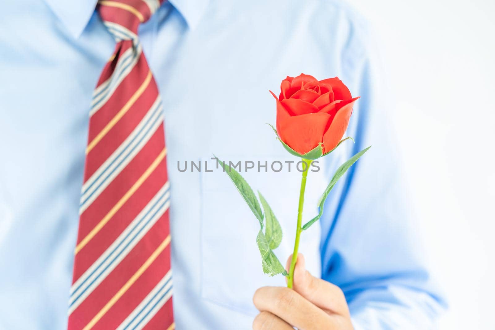 Close up photo of Man holding red roses in hand on white background