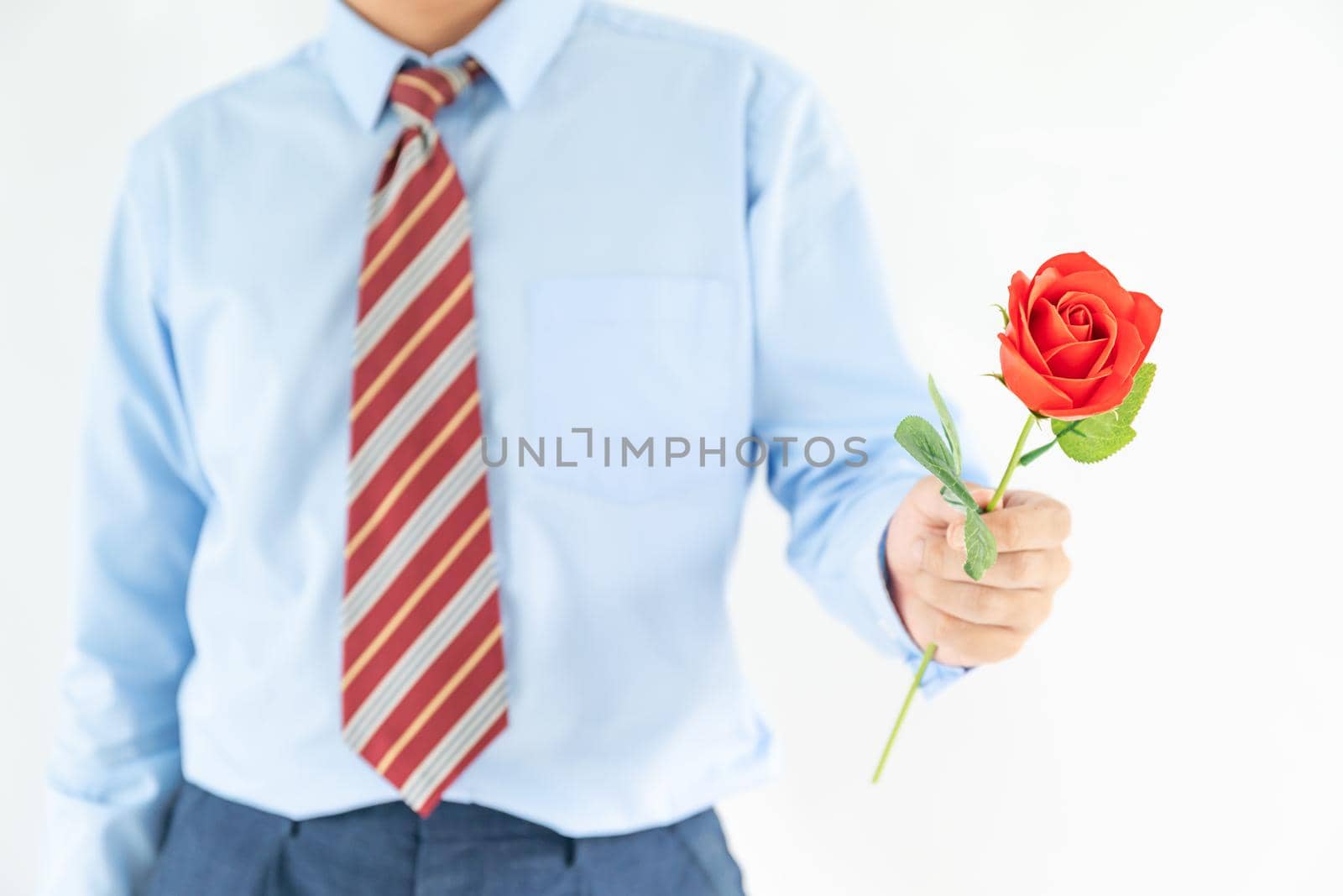 Close up photo of man holding with red rose on white background