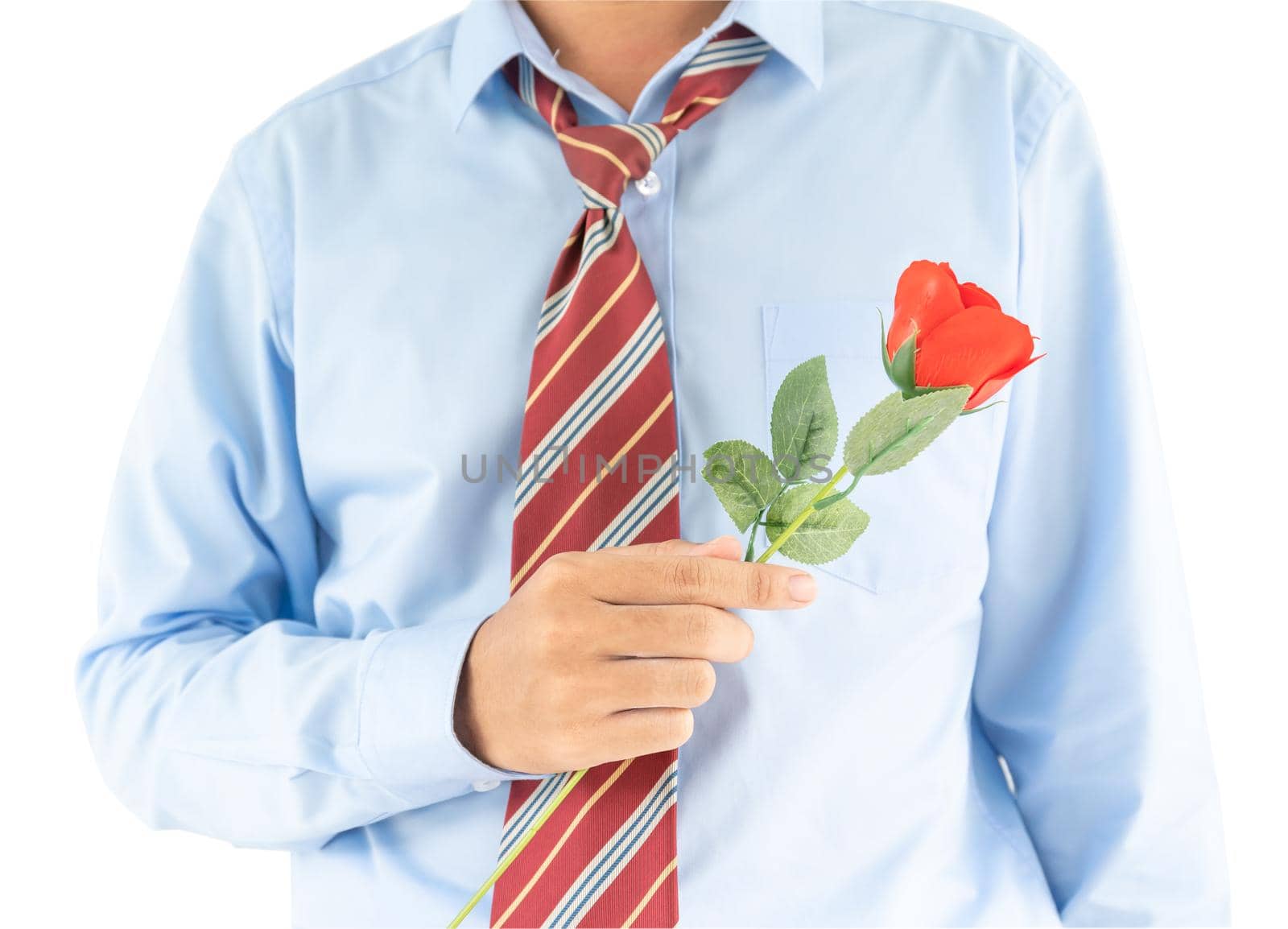 Close up photo of man holding with red rose on white background