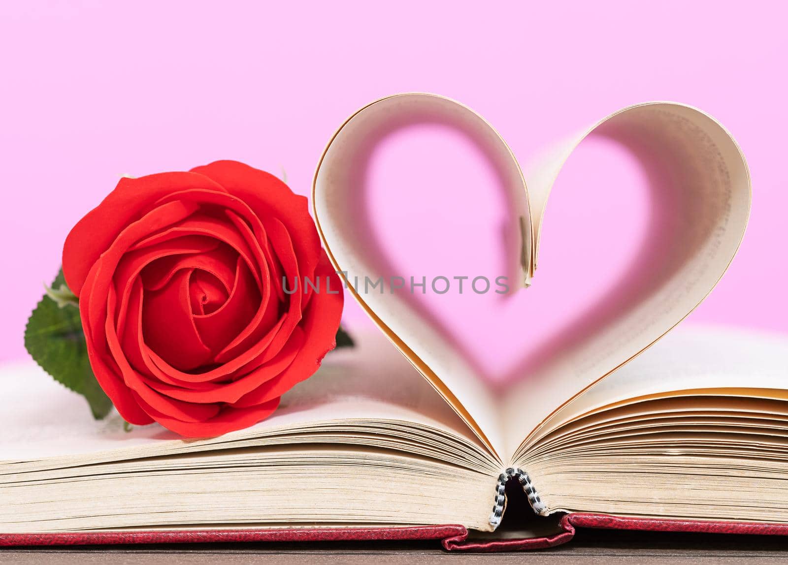 Page of book curved  heart shape and red rose by stoonn