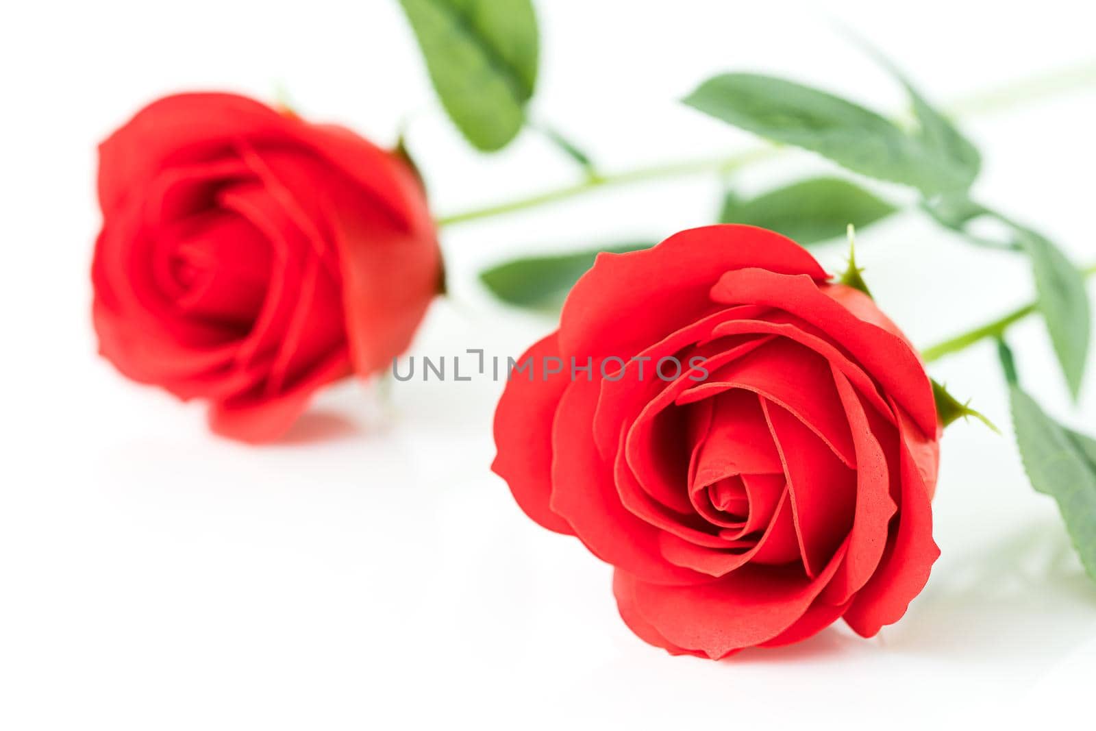 Red plastic fake roses on white background for Valentine's Day