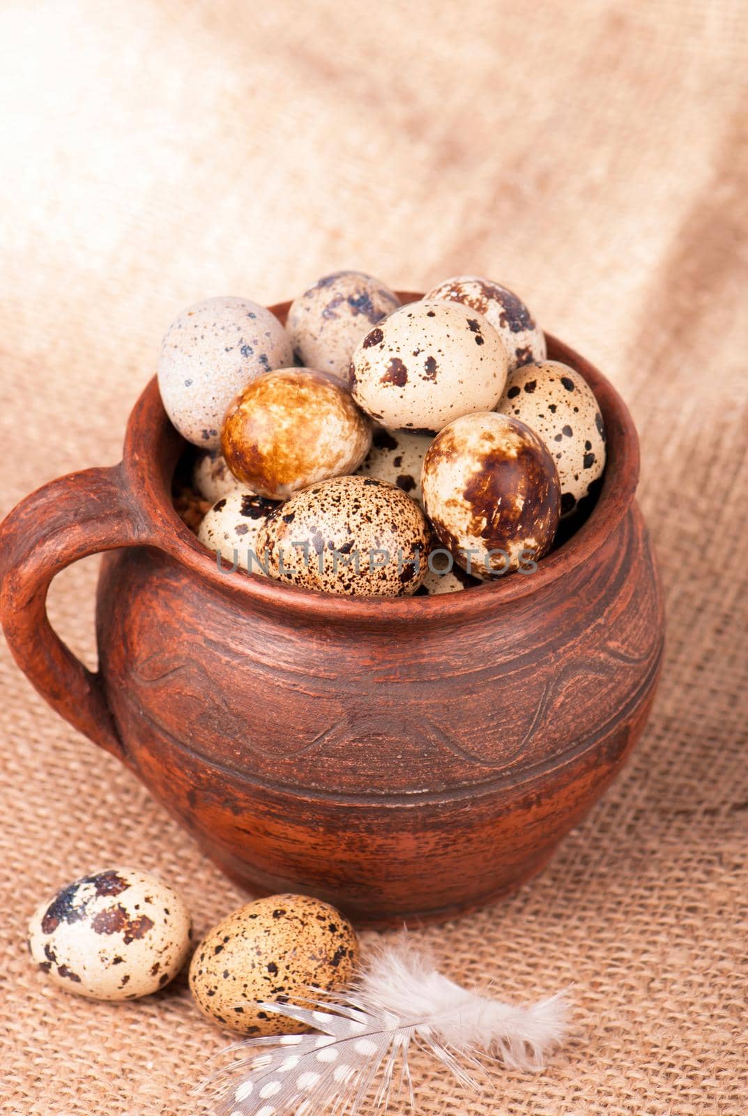 Quail eggs in a jug, a feather on a canvas