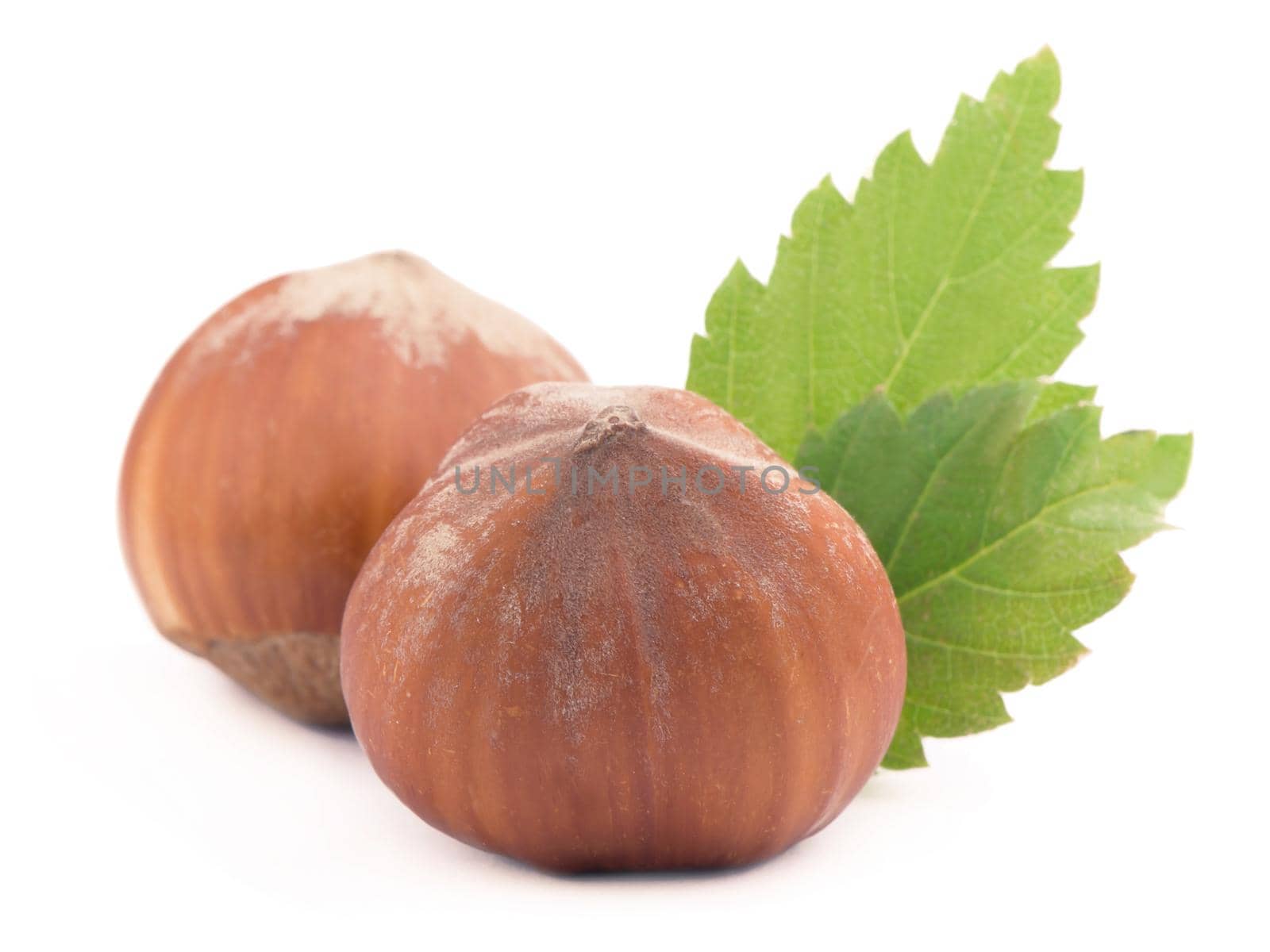 Closeup of hazelnuts, isolated on the white background, clipping path included.