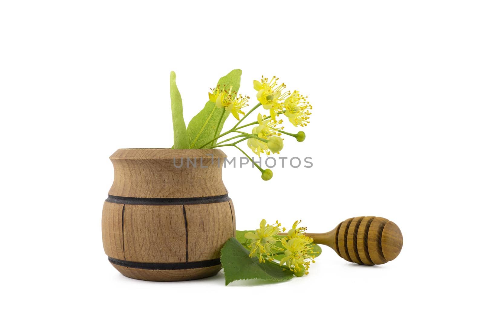 Small wooden pot of freshly picked yellow linden flowers and leaves, also called tilia and wooden wand over a white background