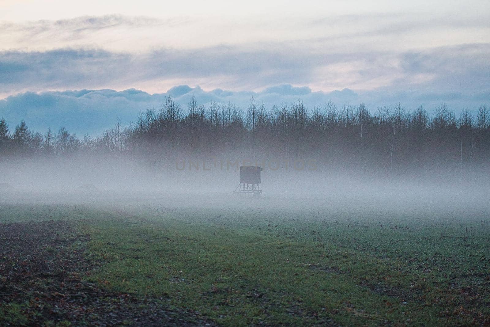 A landscape in the evening with fog and sunset