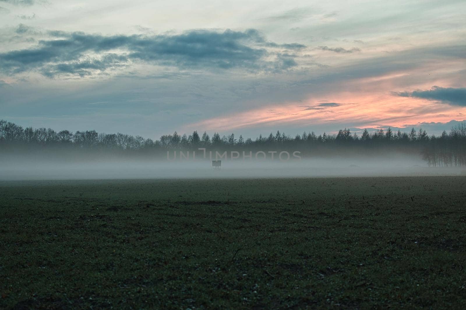 A landscape in the evening with fog and sunset