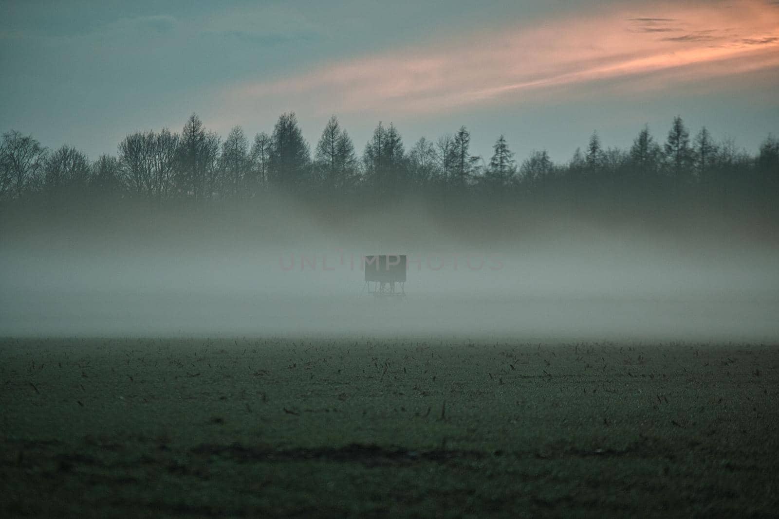 A landscape in the evening with fog and sunset