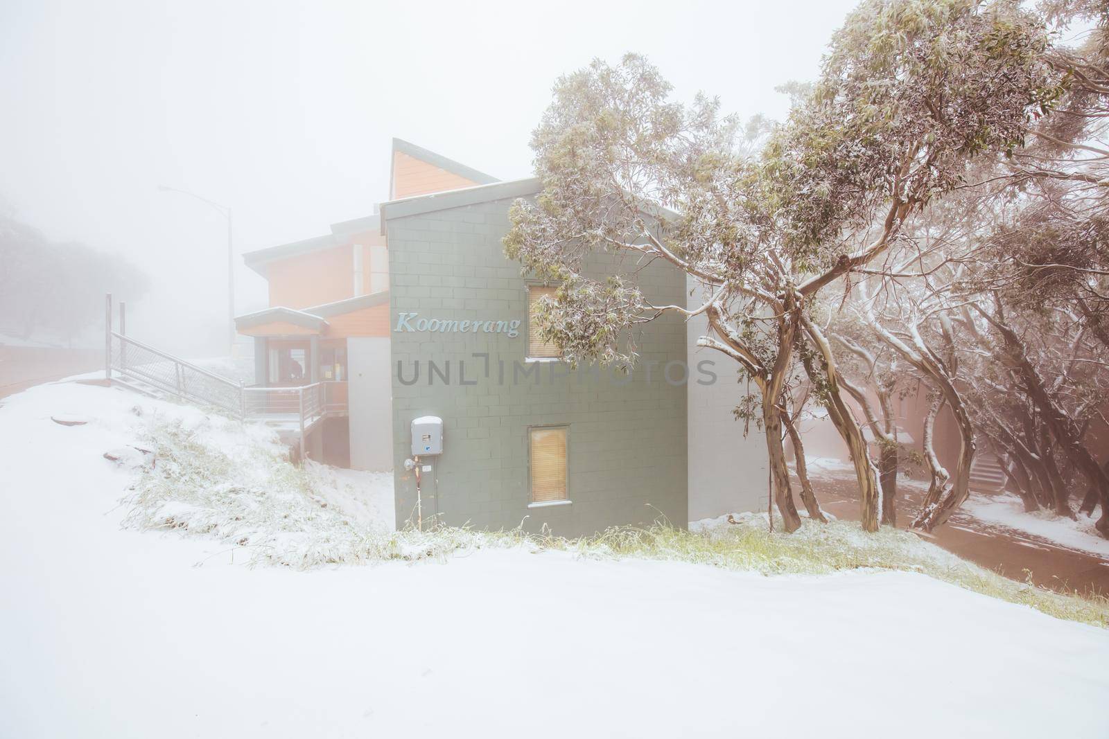 A rare summer snow storm blankets Mt Buller in the Victorian Alps, Australia.