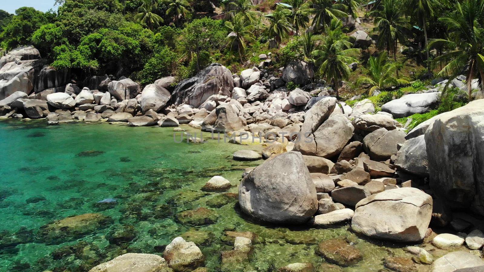 Tropical palms and stones on small beach. Many green exotic palms growing on rocky shore near calm blue sea in Hin Wong Bay on sunny day in Thailand. Koh Tao exotic paradise island