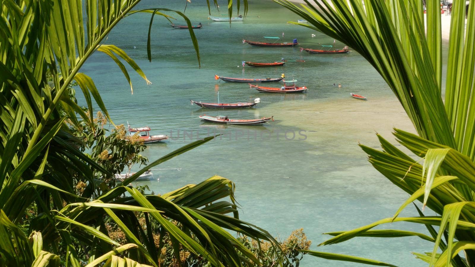 Boats near shore of island. Traditional colorful fishing vessels floating on calm blue water near white sand coast of tropical exotic paradise island. View through green palm leaves. Koh Phangan.