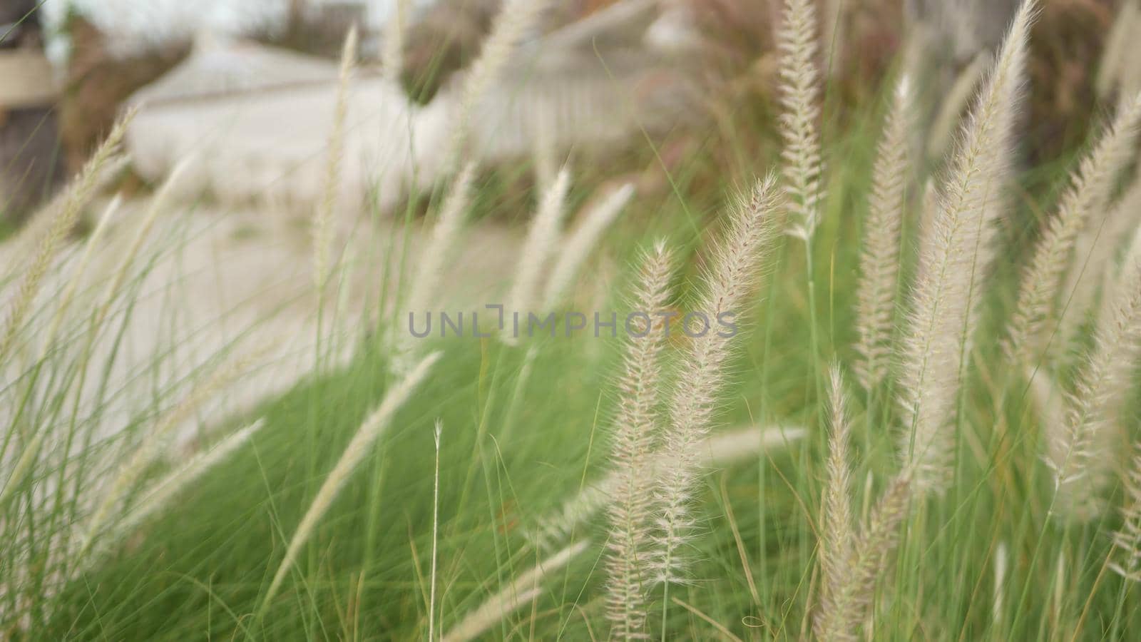 Mesh retro hipster hammock hanging in garden with high green grass in daylight. Spikelets in a vintage yard. Modern stylish background with macrame. Relax, travel vacation holiday resort concept