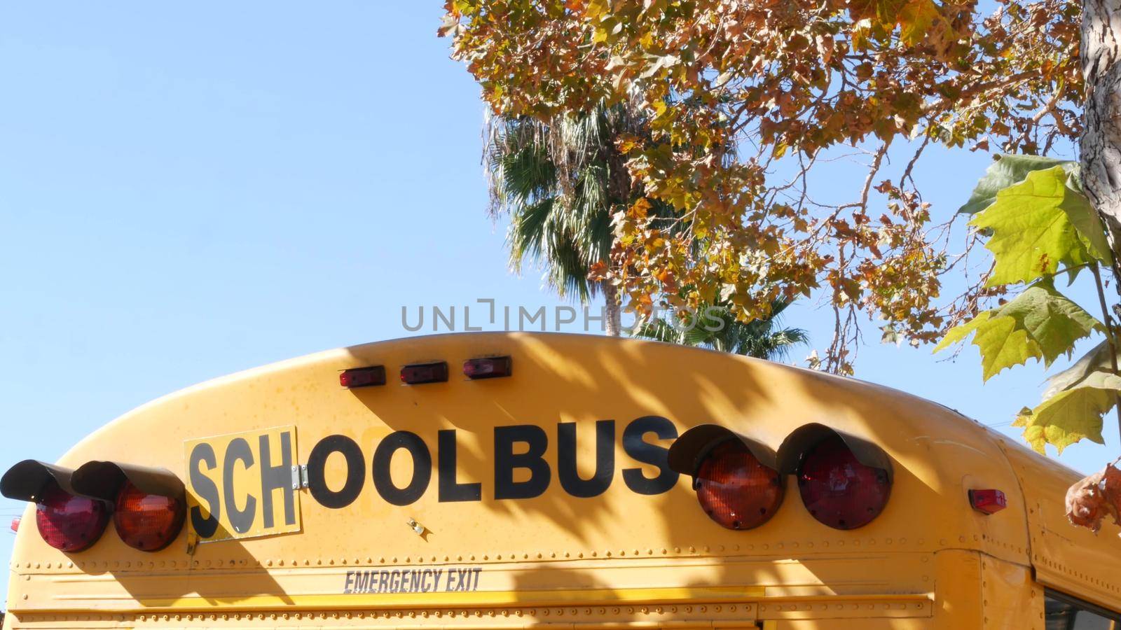 Yellow iconic school bus in Los Angeles, California USA. Classic truck for students back view. Vehicle stoplights for safety of children transportation. Public passenger transport for kids in suburb.