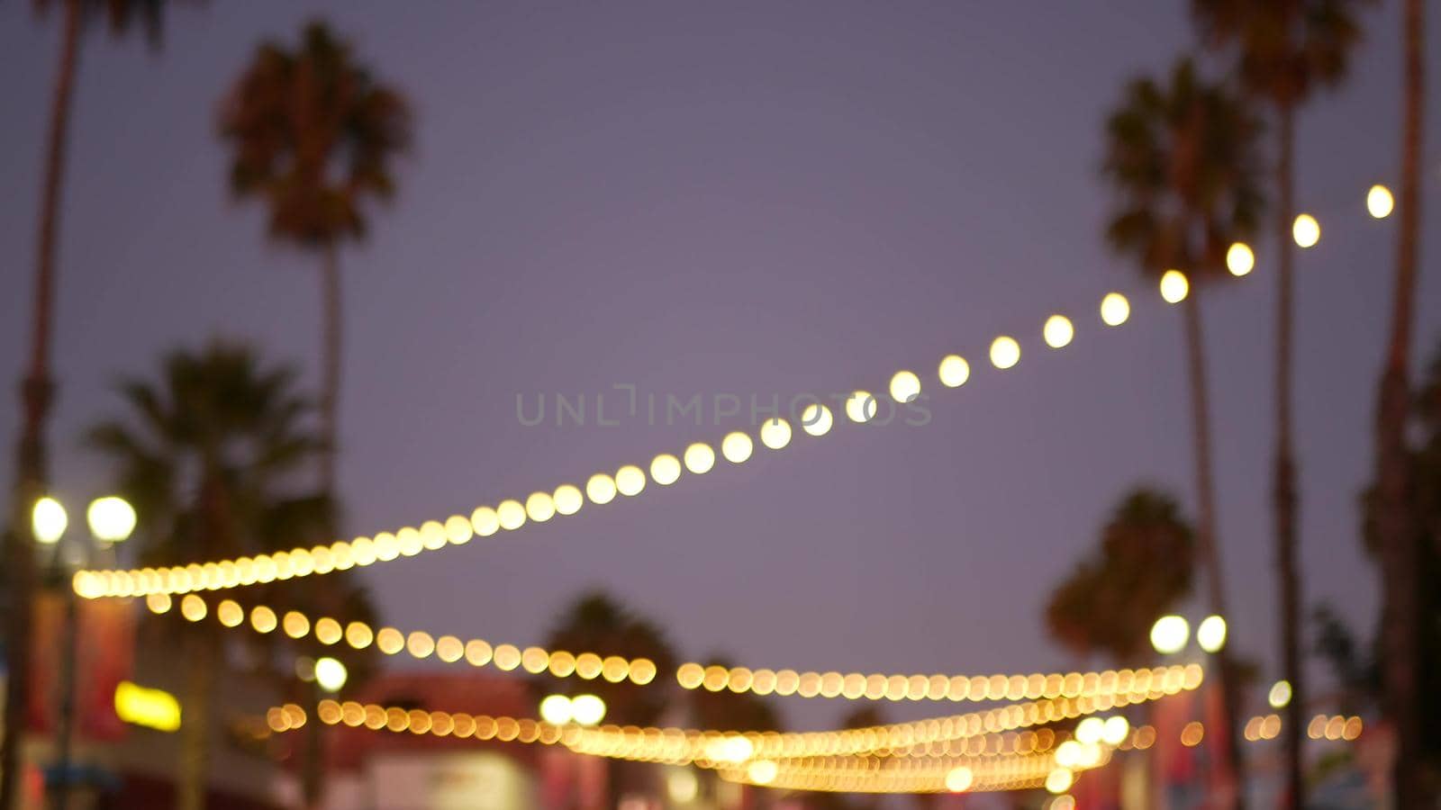 Decorative staring garland lights, palm trees silhouettes, evening sky. Blurred Background. Street decorated with lamps in California. Festive illuminations, beach party, tropical vacations concept