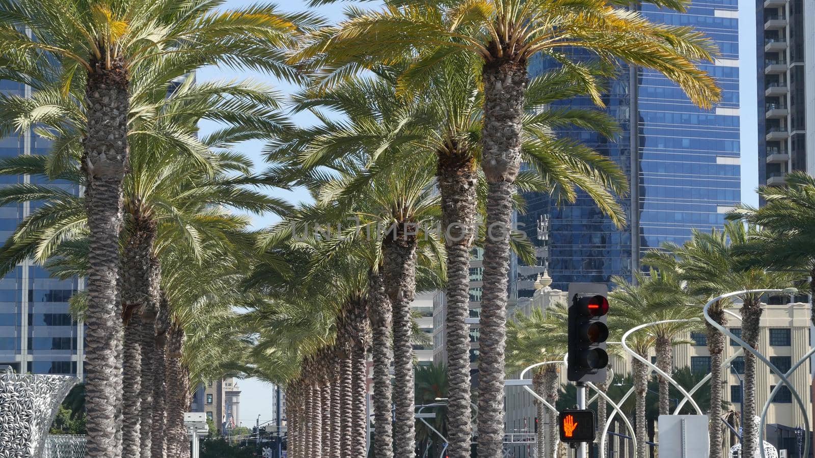 Metropolis urban skyline, downtown of San Diego city, California, USA. Highrise skyscrapers facade in financial district. Contemporary architecture, futuristic modern high business towers in America.