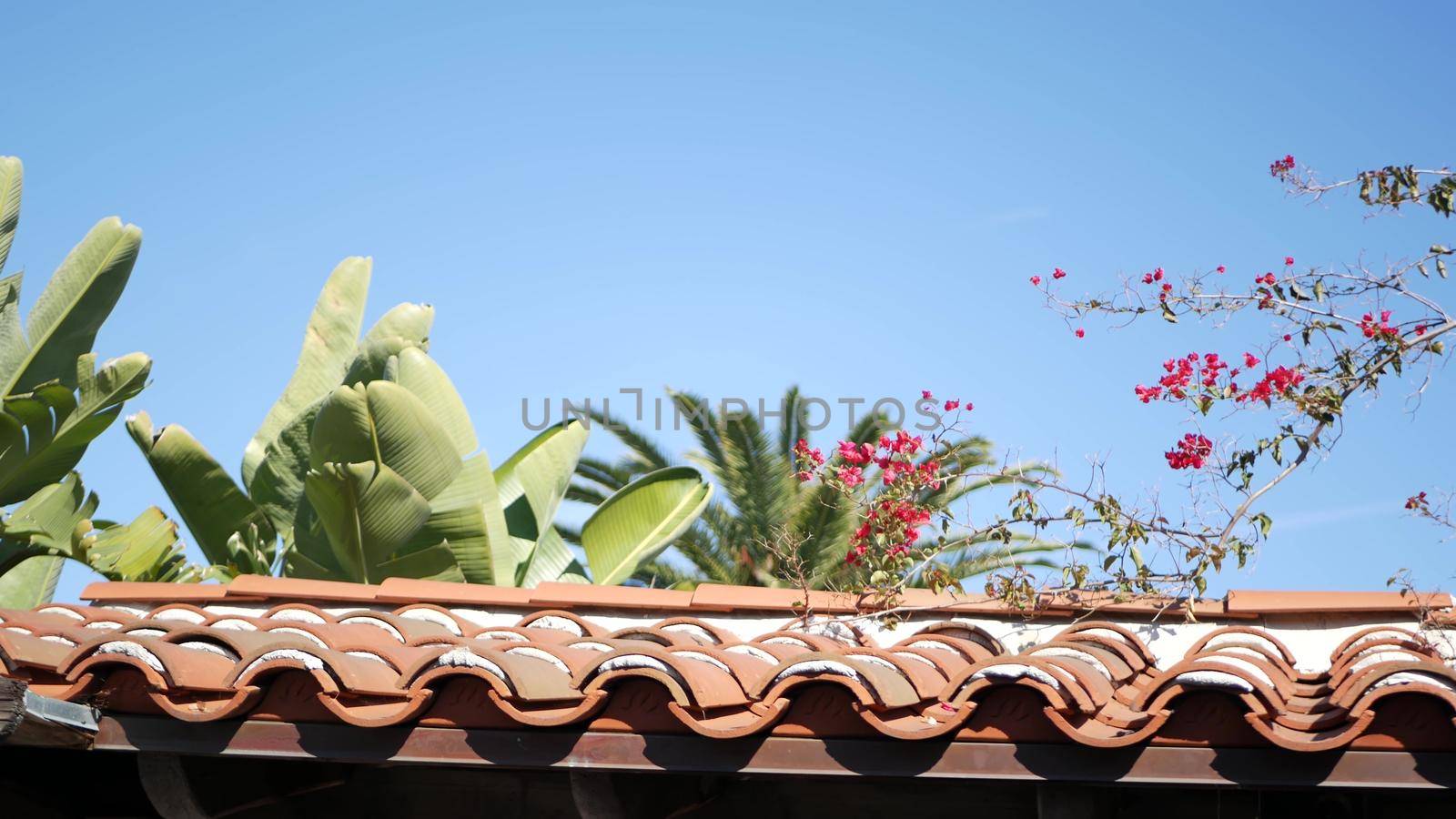 Mexican colonial style suburban, hispanic house exterior, green lush garden, San Diego, California USA. Mediterranean terracotta ceramic clay tile on roof. Rustic spanish tiled rooftop. Rural details by DogoraSun