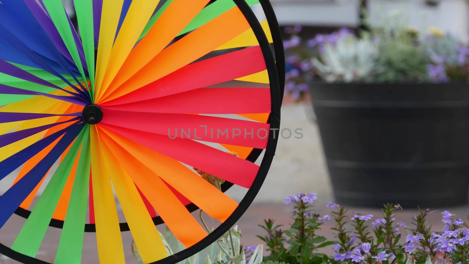 Colorful pinwheel spinning, weather wind vane, garden decoration in USA. Rainbow symbol of childhood, fantasy and imagination rotating. Multi colored spiral toy turning in breeze. Summertime dreaming.