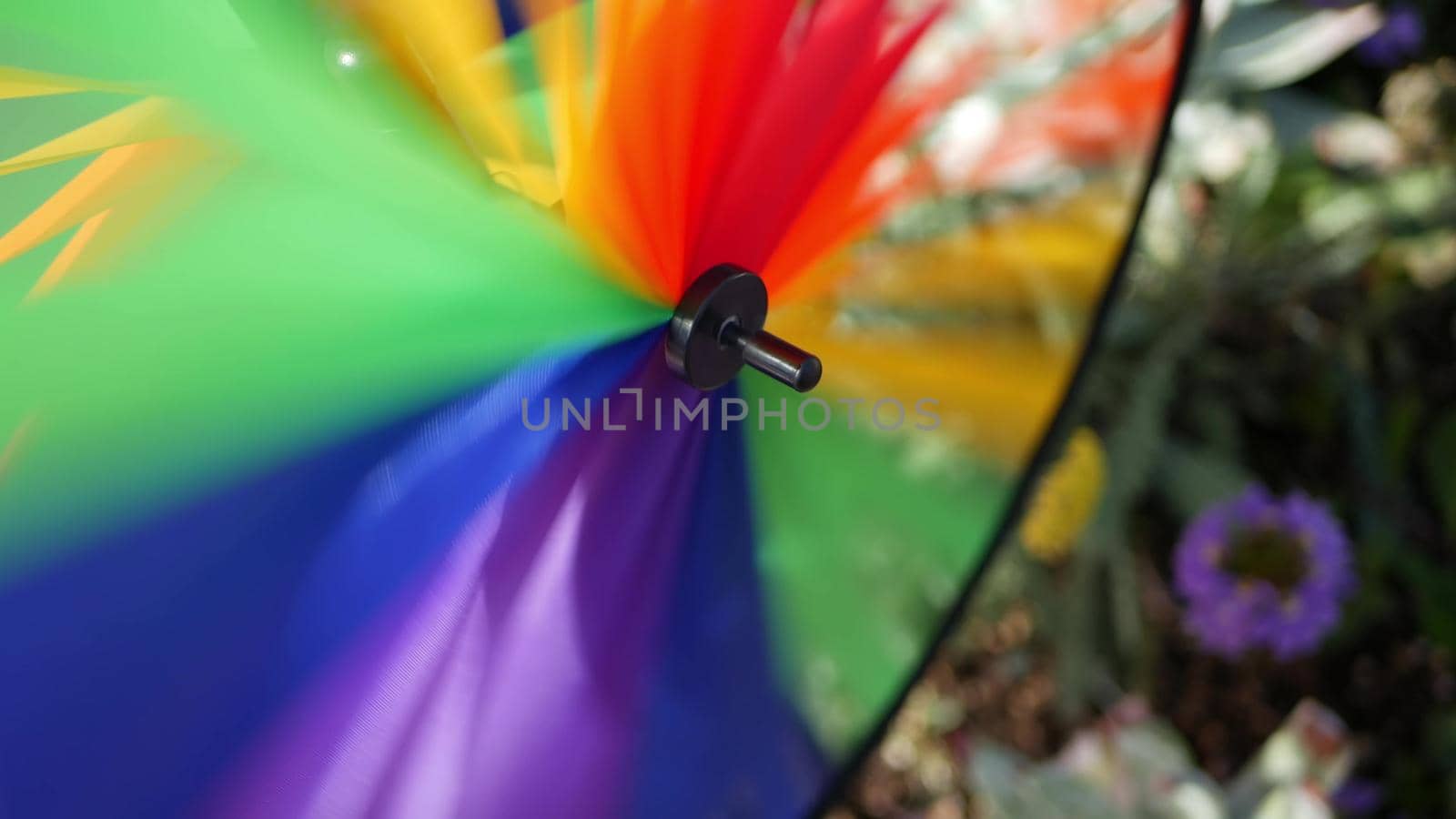 Colorful pinwheel spinning, weather wind vane, garden decoration in USA. Rainbow symbol of childhood, fantasy and imagination rotating. Multi colored spiral toy turning in breeze. Summertime dreaming.