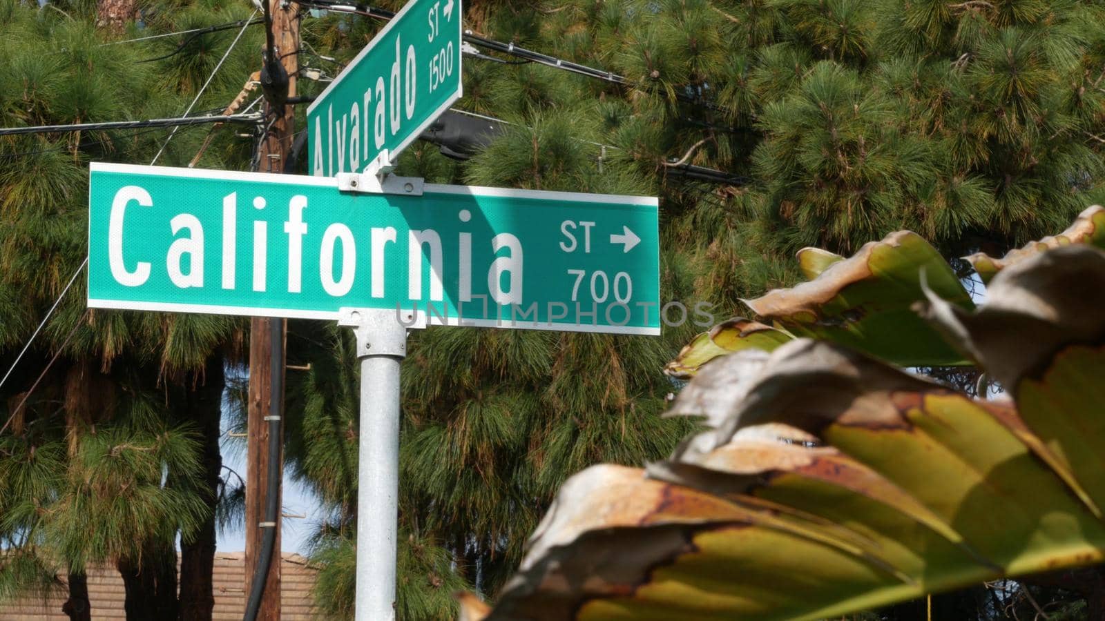 California street road sign on crossroad. Lettering on intersection signpost, symbol of summertime travel and vacations. USA tourist destination. Text on nameboard in city near Los Angeles, route 101.