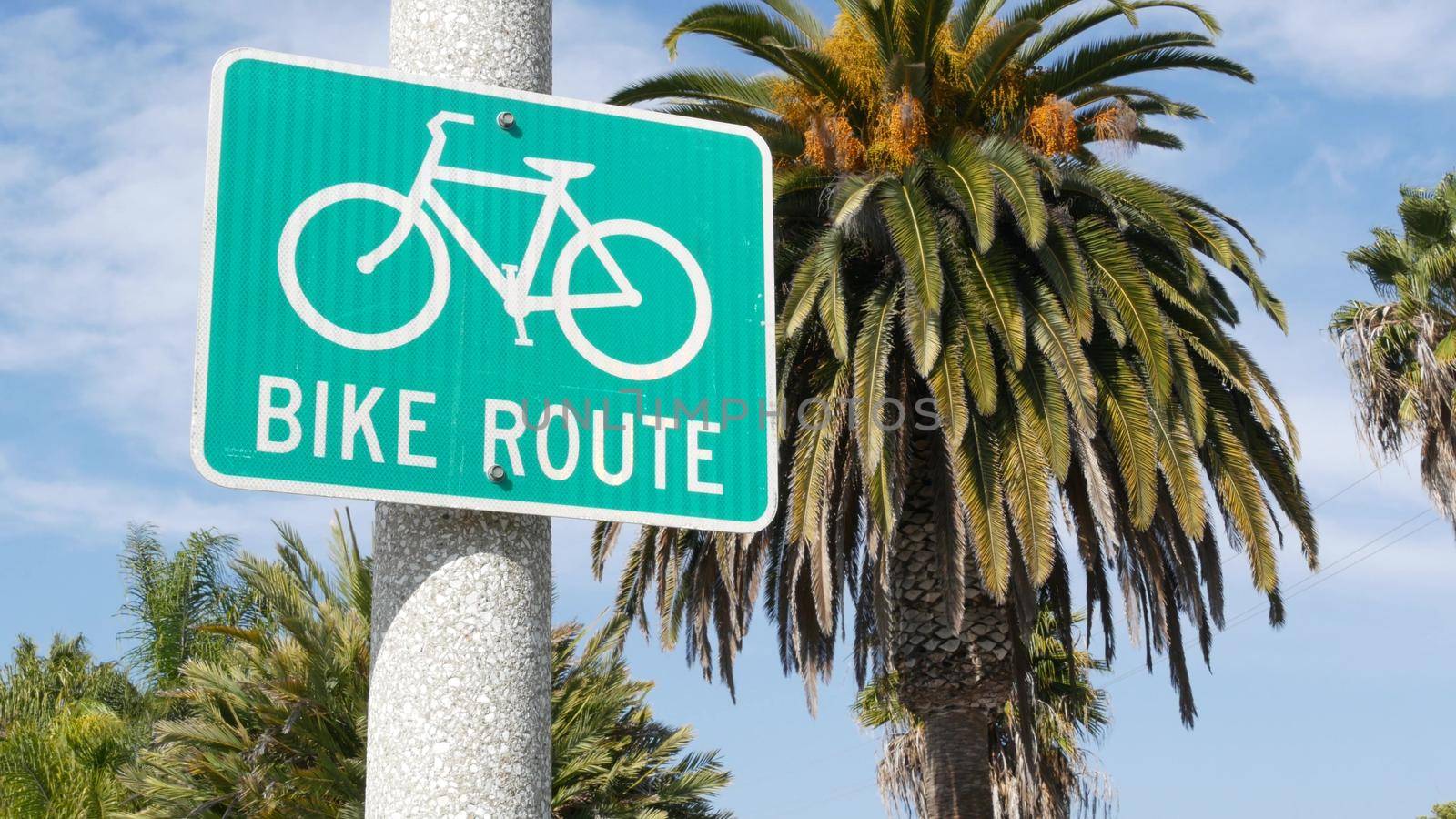 Bike Route green road sign in California, USA. Bicycle lane singpost. Bikeway in Oceanside pacific tourist resort. Cycleway signboard and palm. Healthy lifestyle, recreation and safety cycling symbol.